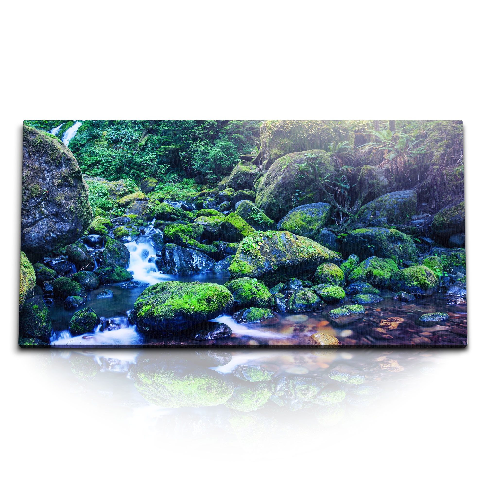 Leinwandbild Kunstdruck Bilder 120x60cm Bach Dschungel Natur Tropisch Exotisch Grün
