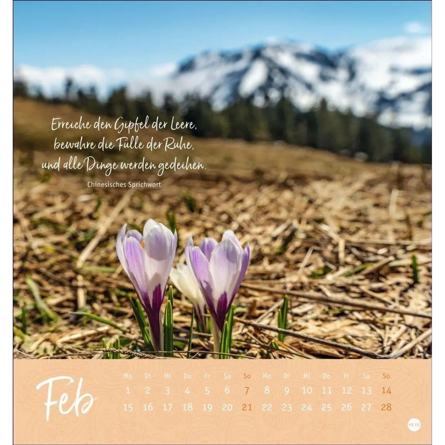 HEYE Wandkalender Stille Momente Postkartenkalender 2027