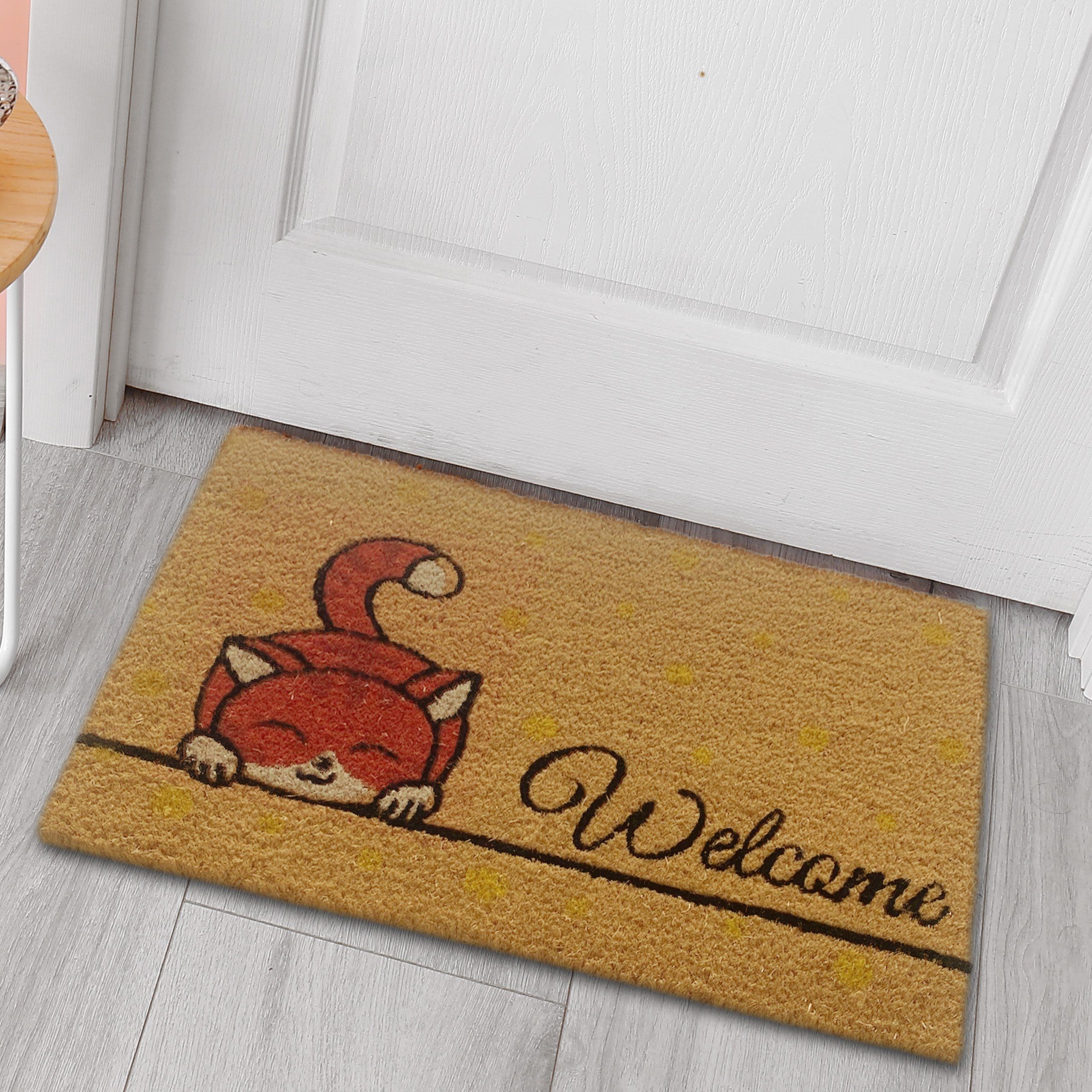 Carpetia Fußmatte Schuhabtreter aus Kokos, umweltfreundlich, Kätzchen orange, Rechteckig