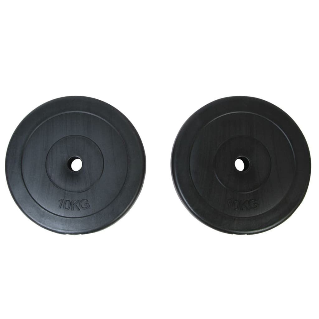 vidaXL Gewichteplatten Gewichte 2 Hantelscheiben 10kg, (1-tlg)