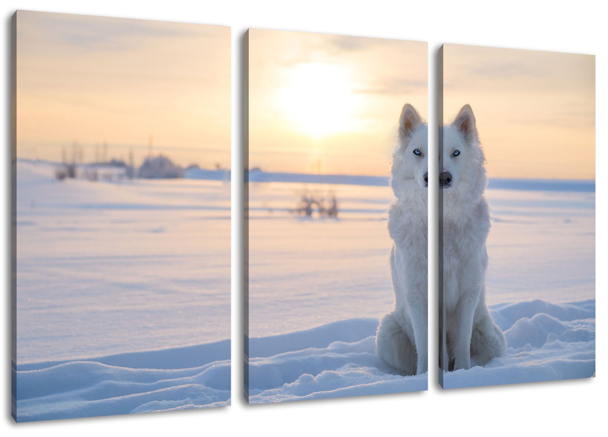Wolf Leinwandbild Zackenaufhänger Leinwandbild inkl. Weißer St), Schnee fertig im Schnee, (1 3Teiler Pixxprint im Wolf bespannt, Weißer (120x80cm)