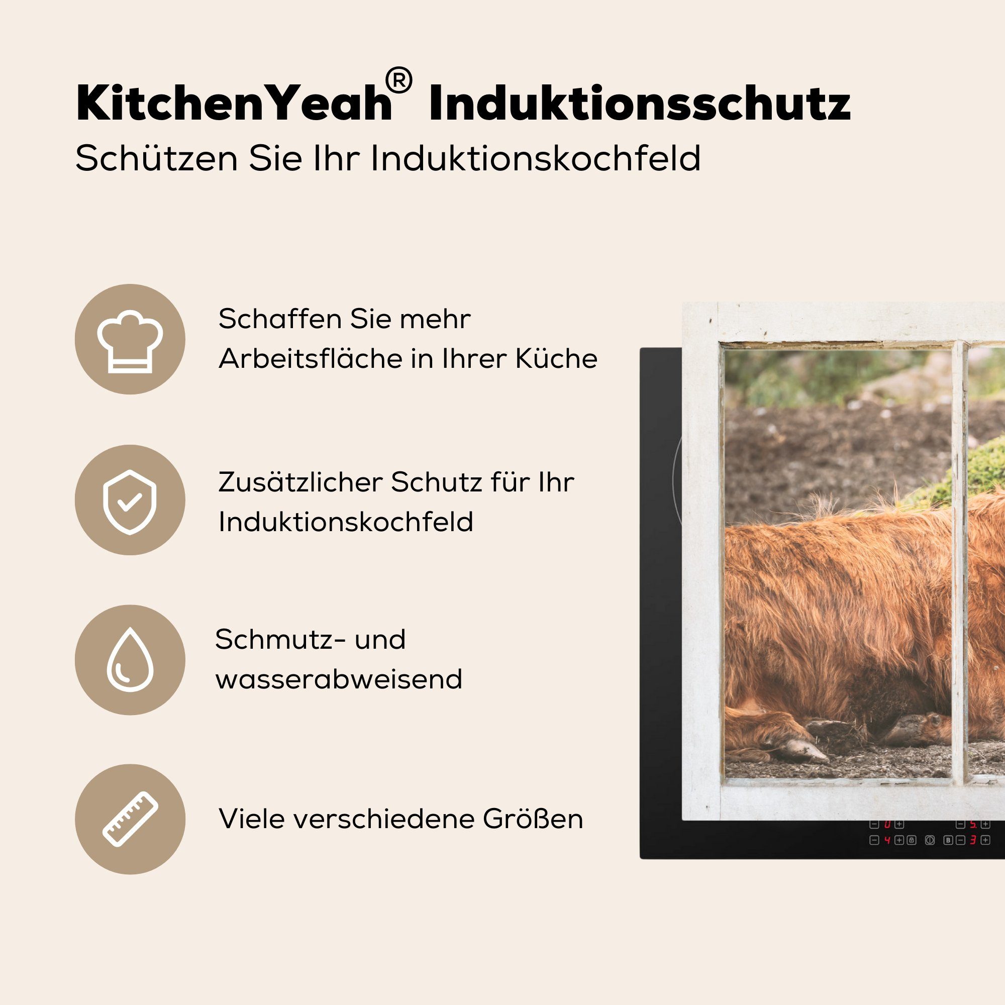 MuchoWow Herdblende-/Abdeckplatte Schottische Highlander cm, tlg), (1 Induktionskochfeld Schutz für die Vinyl, küche, - Natur, Ceranfeldabdeckung - Ansicht 81x52