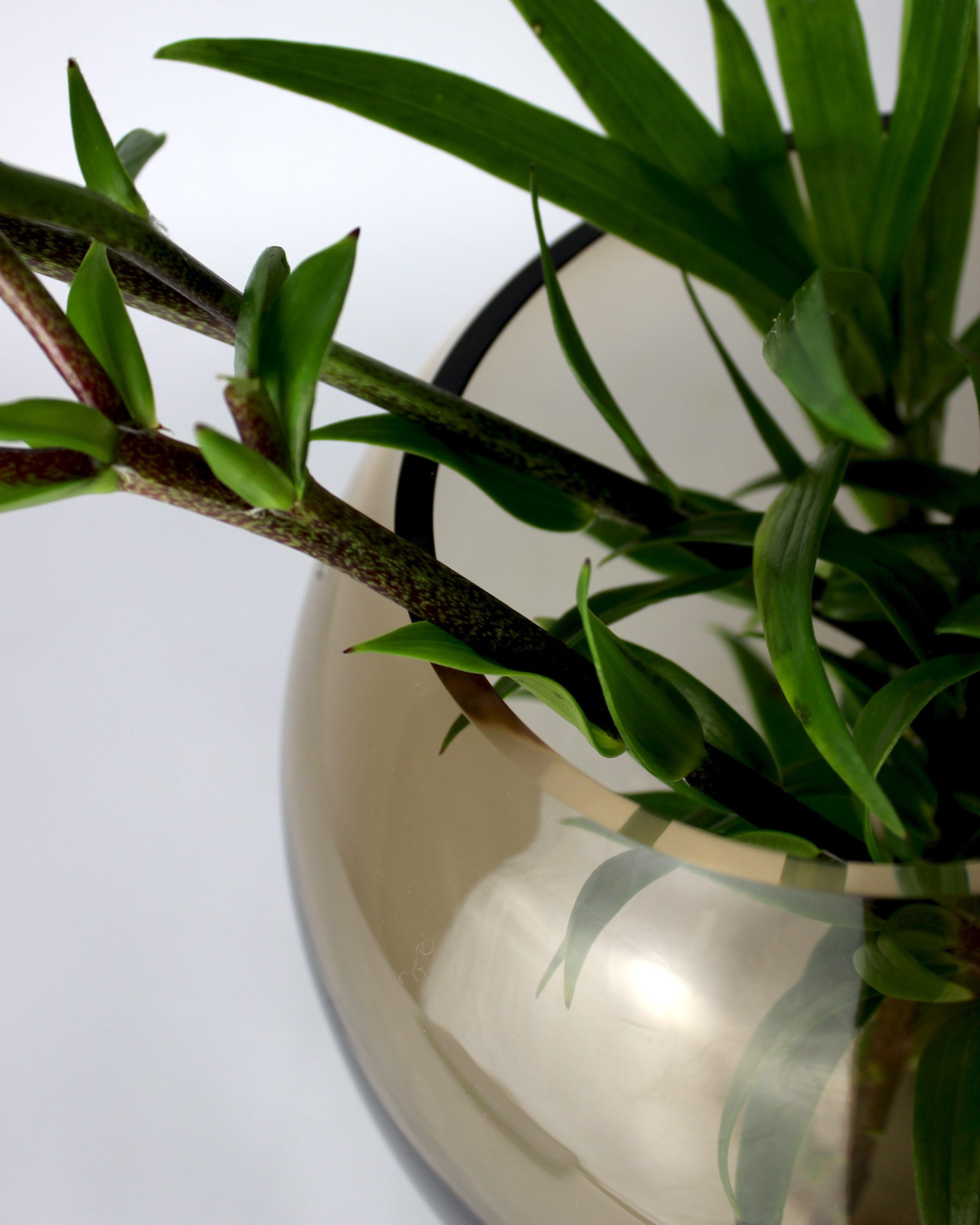 Signature Home Collection Kugelvase Vase Glas rund bernstein grau Glasvase handgemacht Tischvase (1 St., 1 Vase), breiter Rand, dekorative Vase aus braunem Glas – Bild 5 von 5