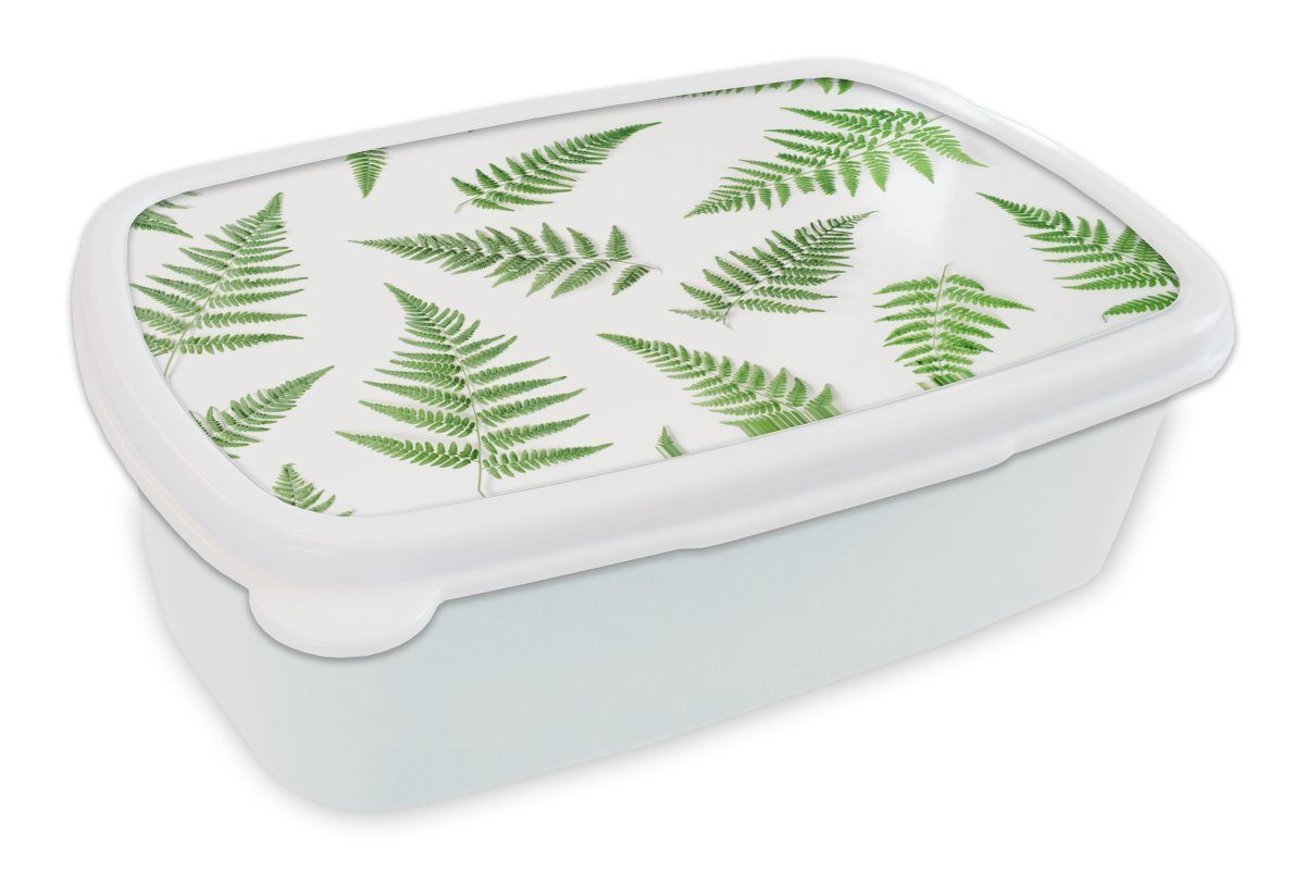 MuchoWow Lunchbox Tropisch - Farn - Grün, Kunststoff, (2-tlg), Brotbox für Kinder und Erwachsene, Brotdose, für Jungs und Mädchen weiß