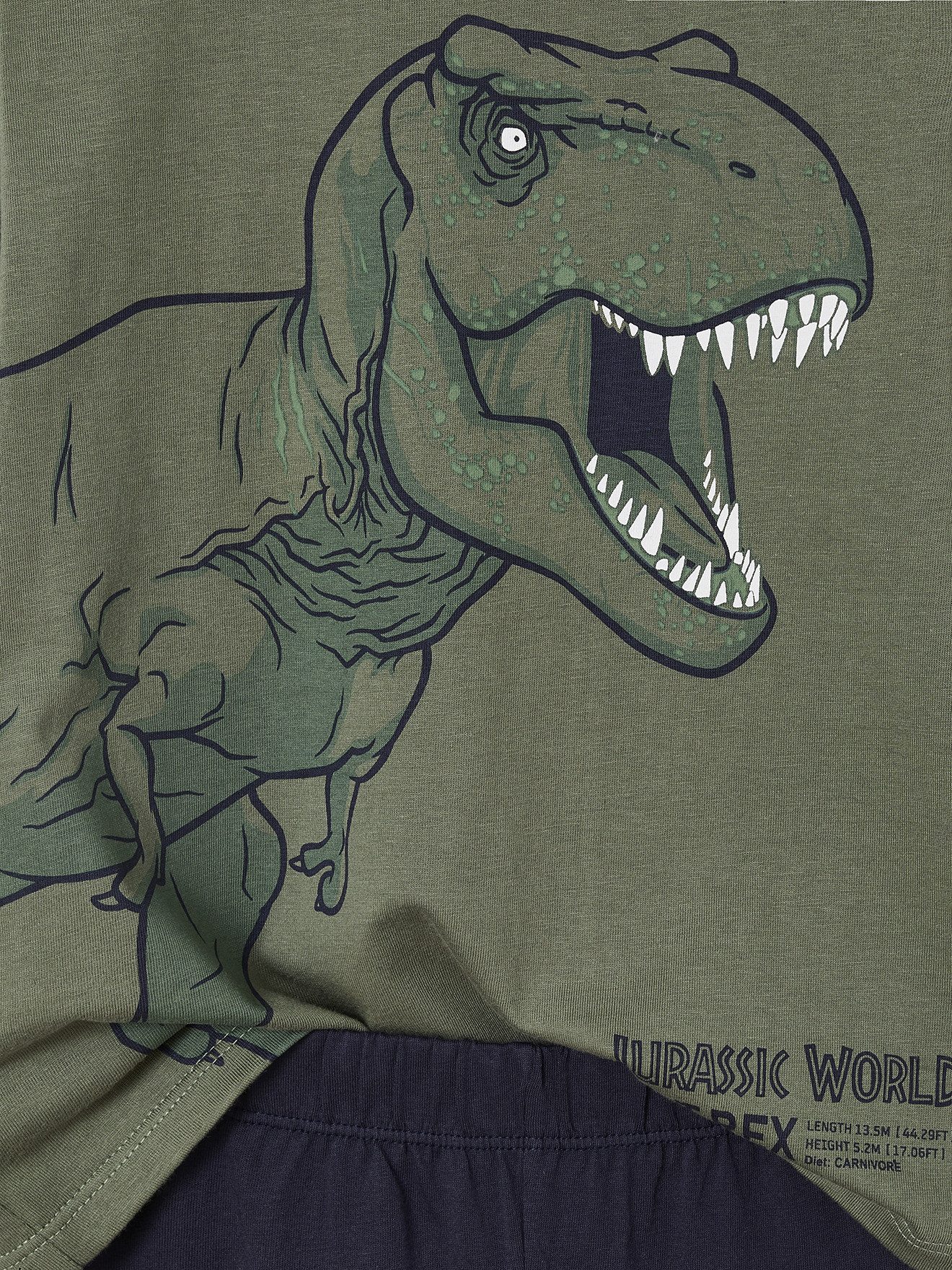 vertbaudet Schlafanzug Schlafanzug mit T-Rex-Print JURASSIC WORLD, Kinder