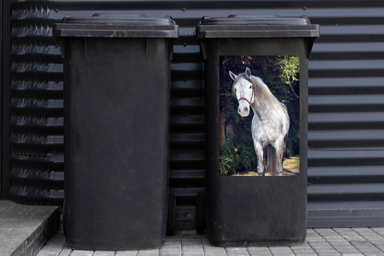 MuchoWow Wandsticker Pferd - Halfter Container, Mülleimer-aufkleber, St), Mülltonne, Sticker, Natur (1 - Abfalbehälter