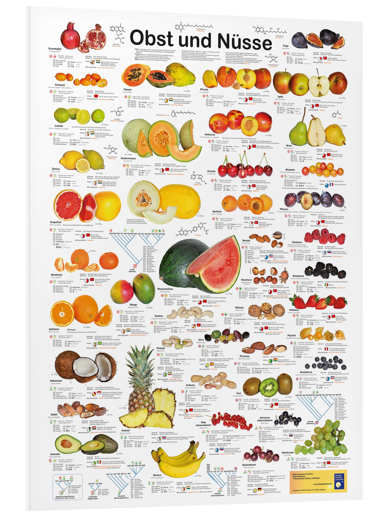 Posterlounge Poster Planet Poster Editions, Obst günstig online kaufen