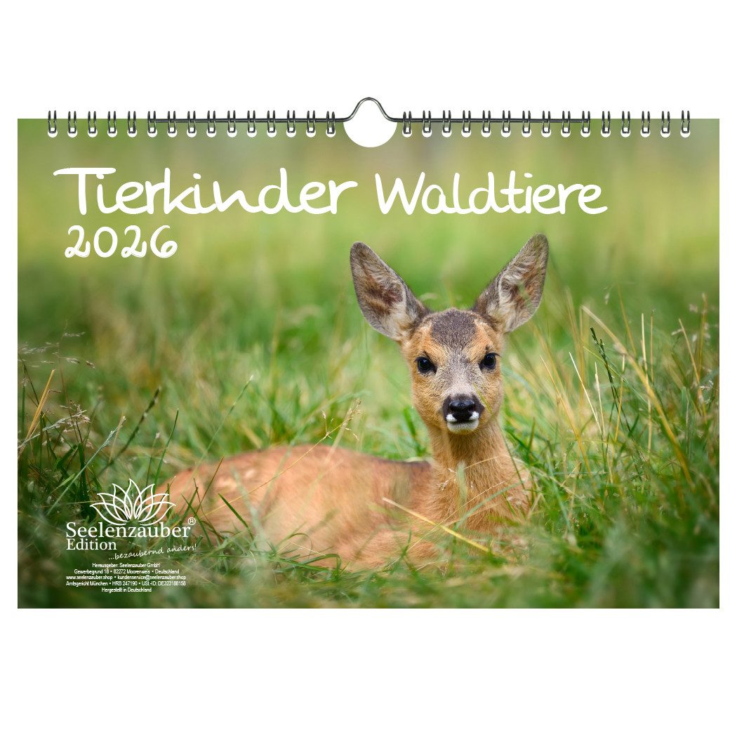 Seelenzauber Настенный календарь Tierkinder Waldtiere DIN A4 Календари für 2026 Tiere im Wald