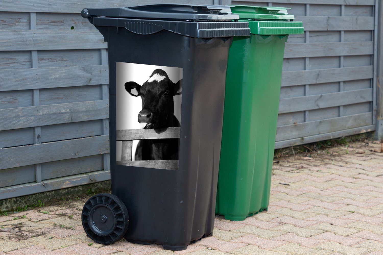 Zunge streckt (1 weiß Sticker, Container, St), und Wandsticker MuchoWow schwarz ihre - Mülleimer-aufkleber, Abfalbehälter Mülltonne, heraus Kuh