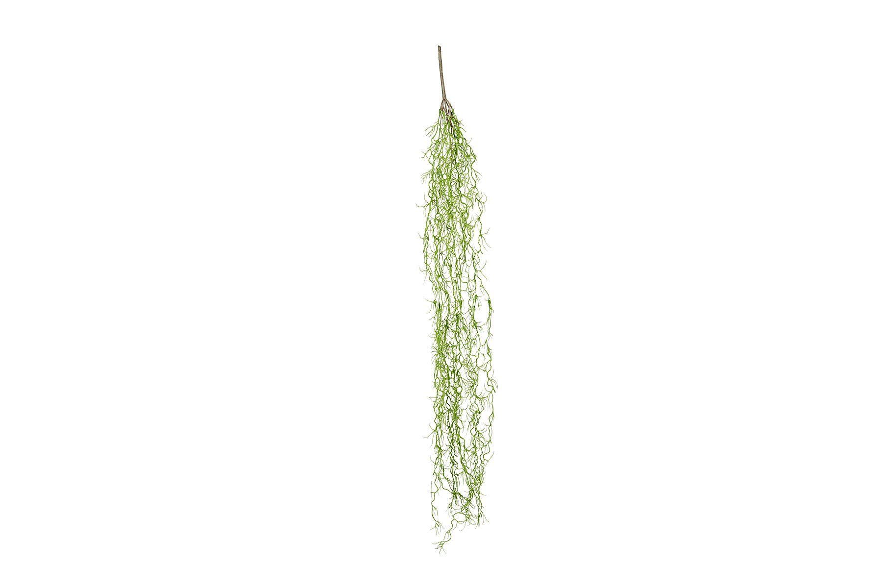 ReptiZoo Terrarium ReptiZoo Kunststoffpflanze (Tillandsia usneoides) ca. 86 cm TP061