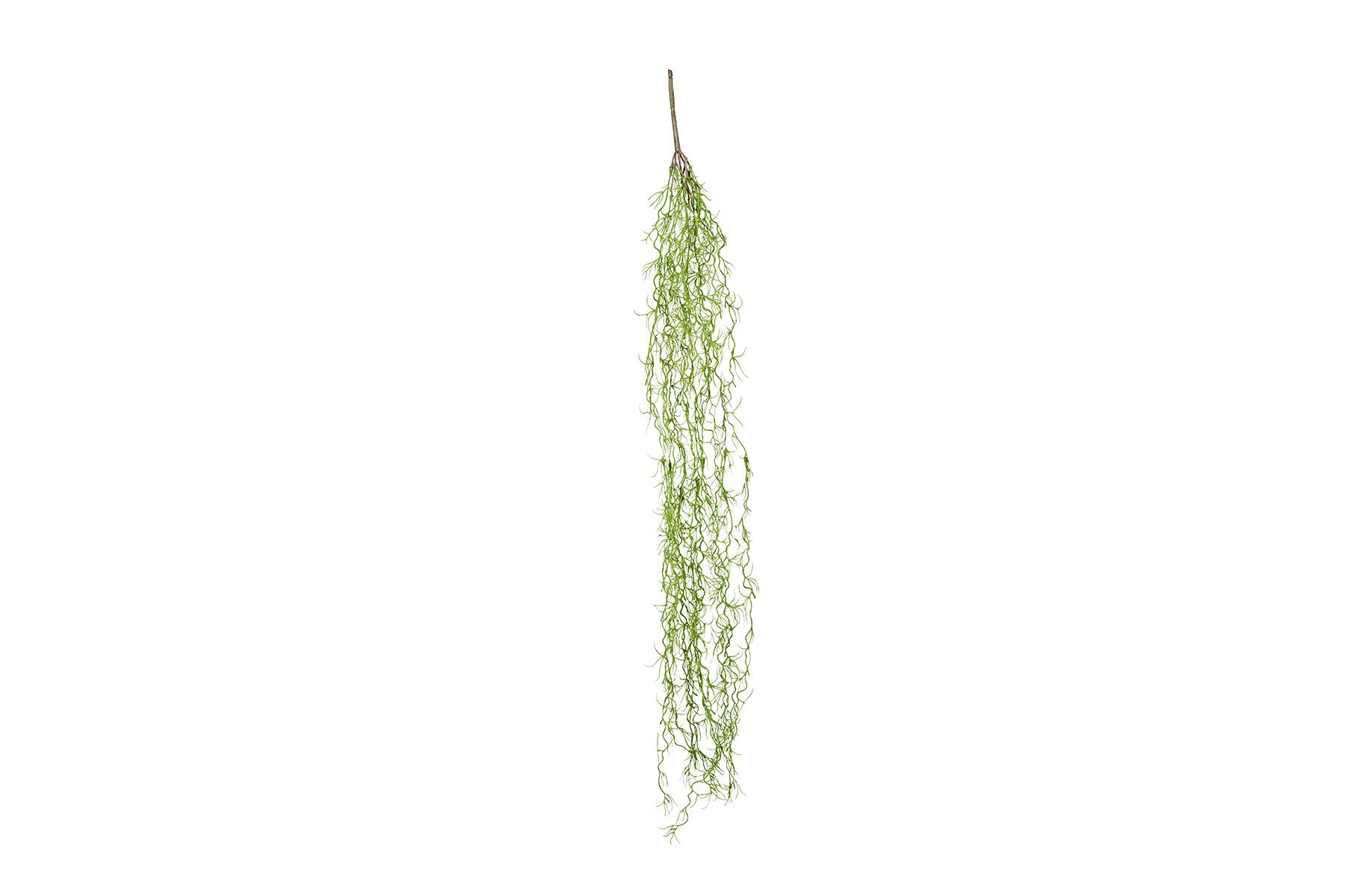 Terrarium ReptiZoo Kunststoffpflanze "Tillandsia usneoides" – Terrariendekora