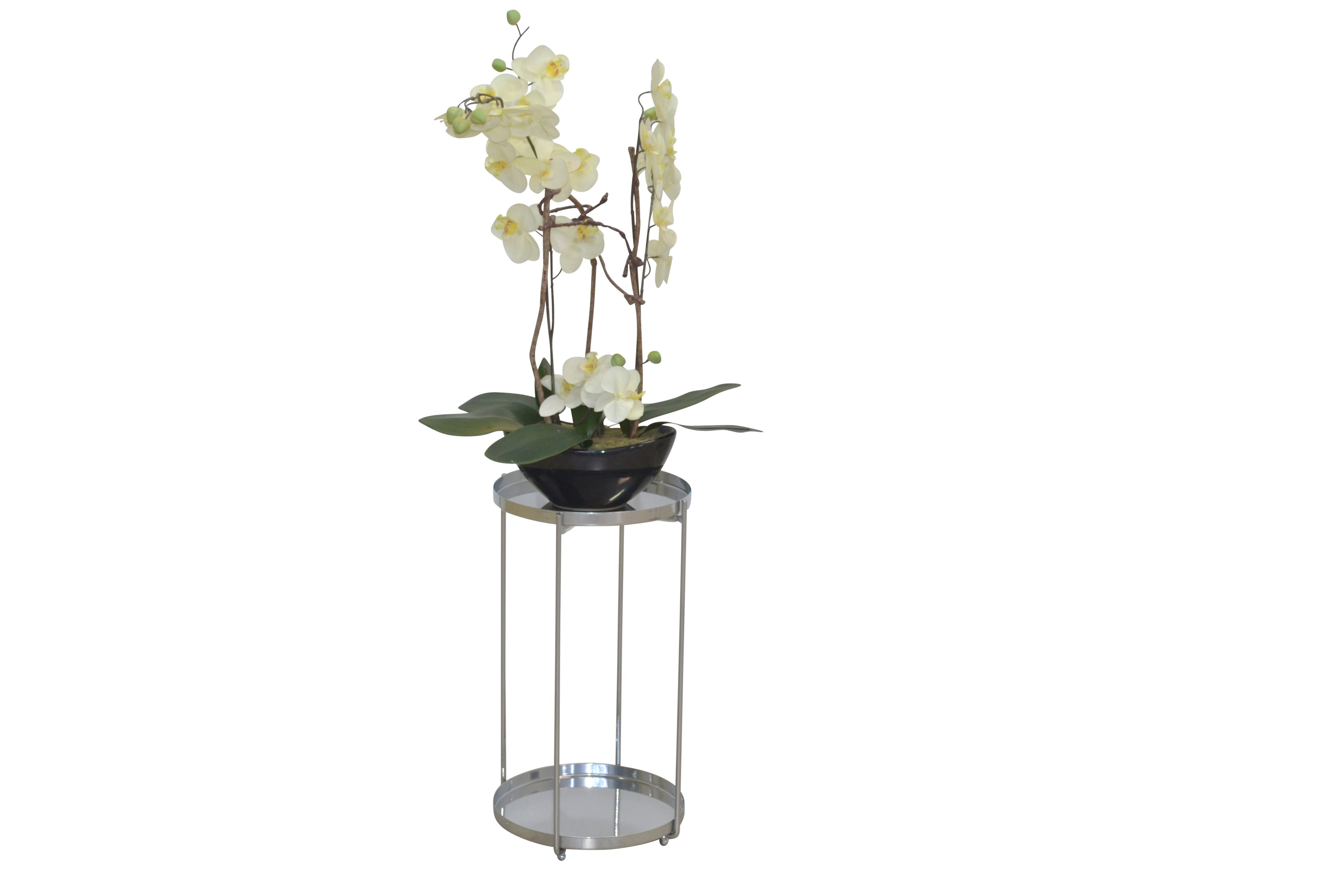 moebel-direkt-online Blumentisch Motsi (In zwei Höhen, günstig online kaufen