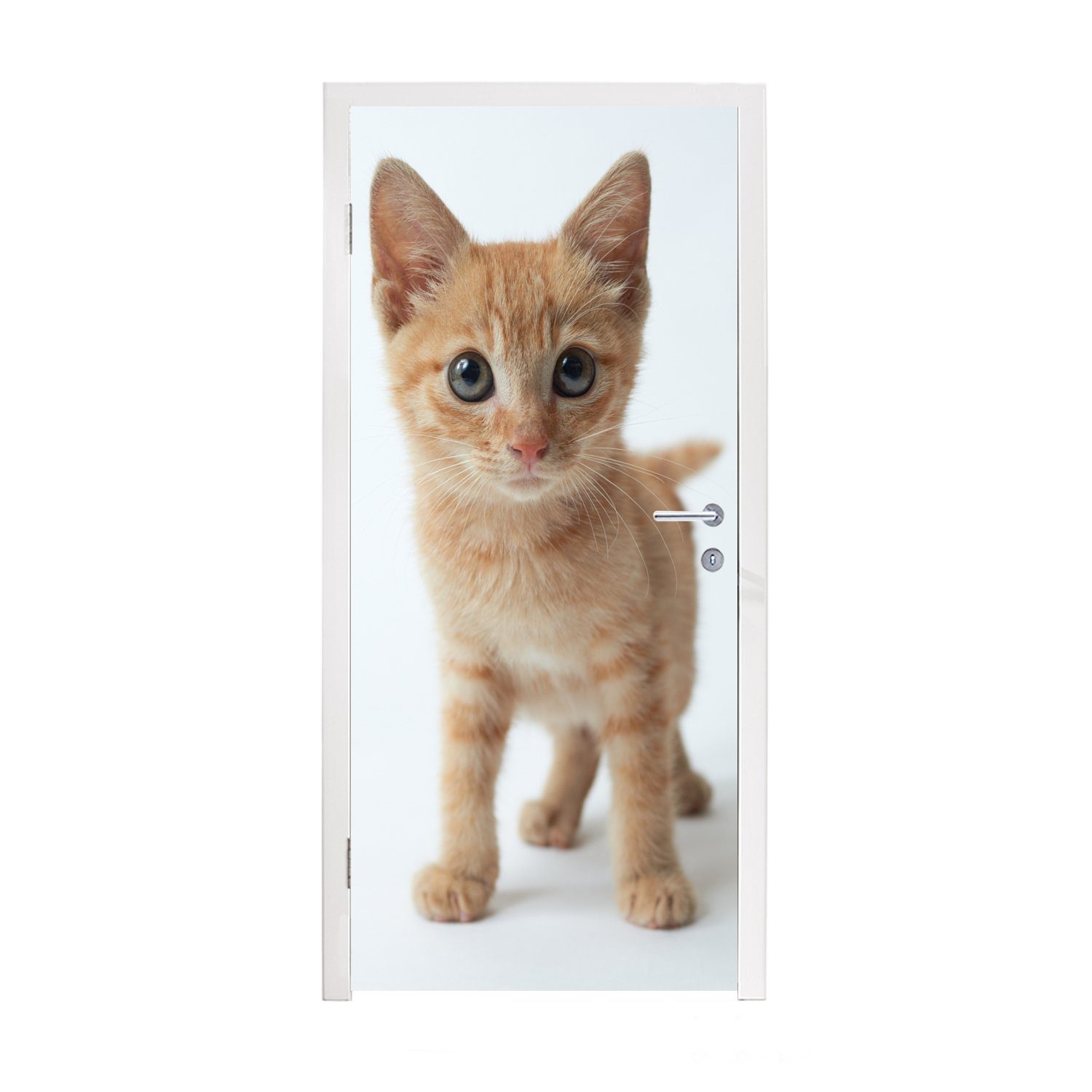 75x205 Tür, Jungen Katze Rot für - Kind, Türaufkleber, - Mädchen Kinder - cm - bedruckt, St), (1 MuchoWow Kätzchen Fototapete - - Matt, Türtapete