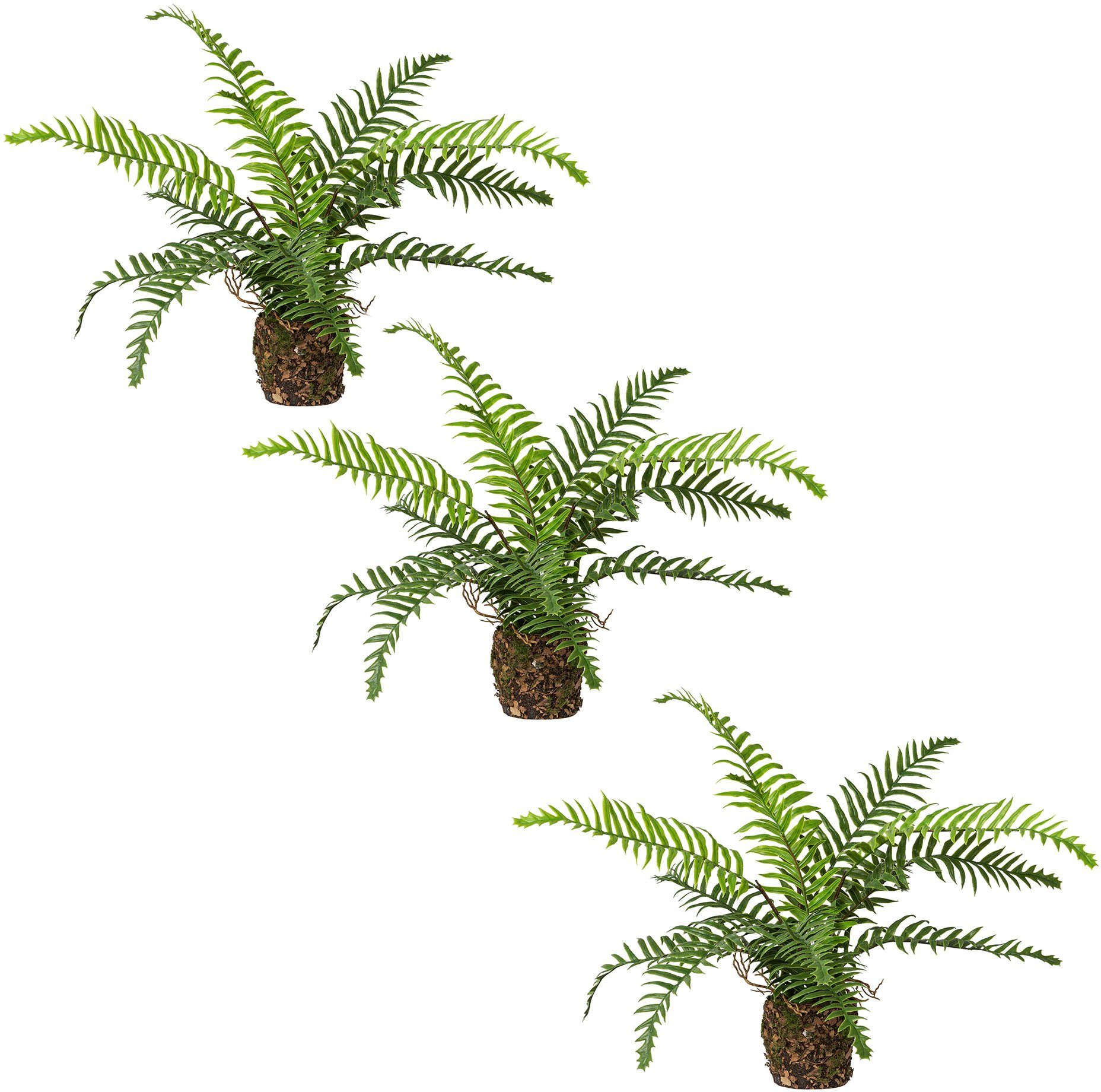 Kunstpflanze Farn mit Ballen, Creativ green, Höhe 37 cm, im 3er Set | Kunstpflanzen