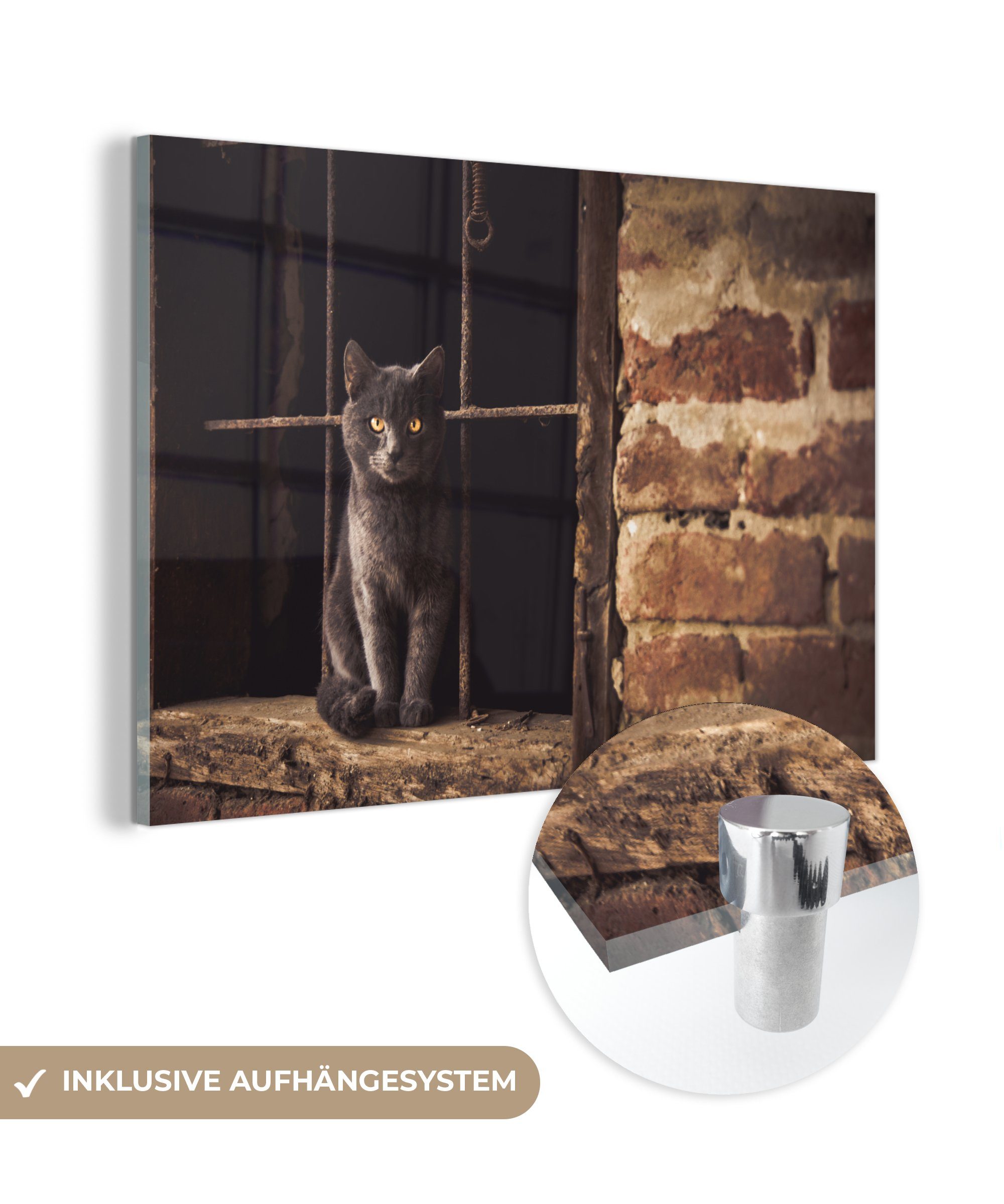 Acrylglasbild Wohnzimmer Katze (1 Ziegel Mauer, Schlafzimmer & MuchoWow Acrylglasbilder St), - -