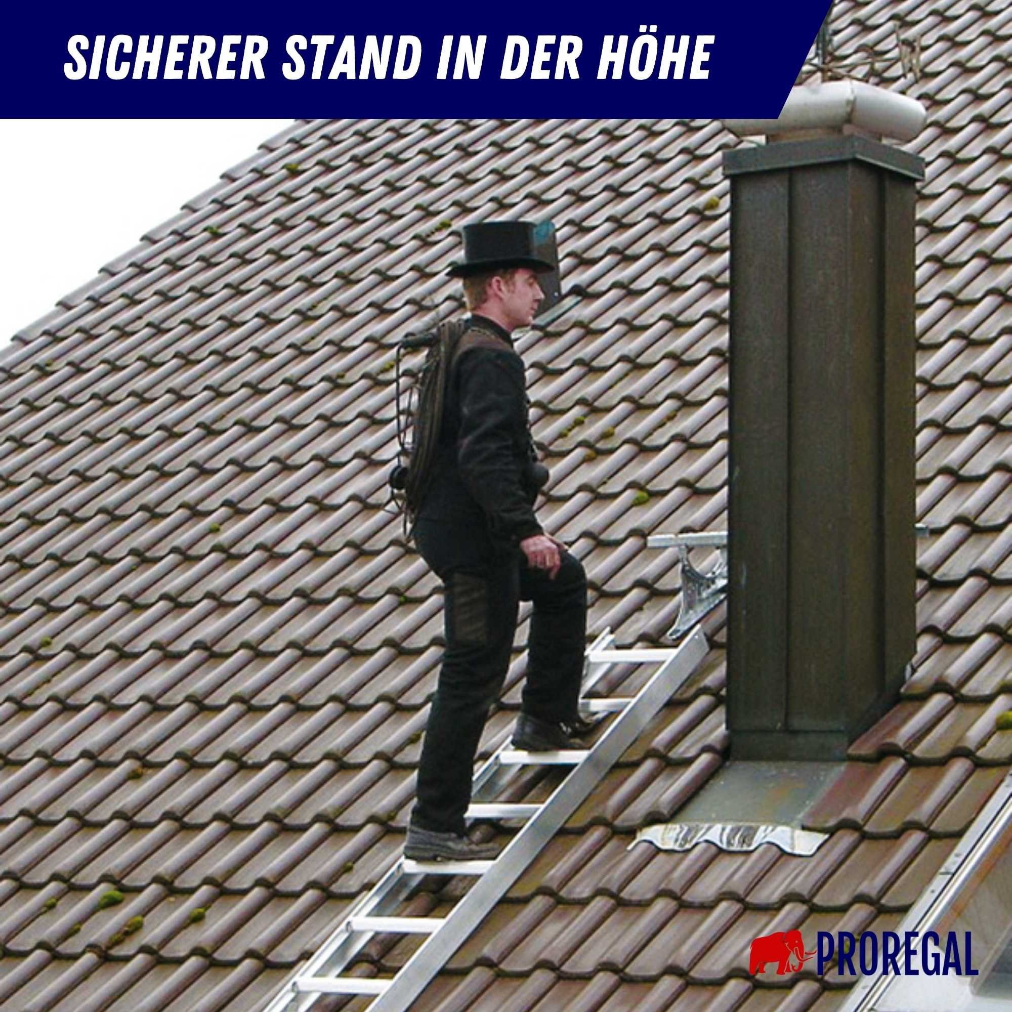 PROREGAL® Trittleiter Dachleiter Alu