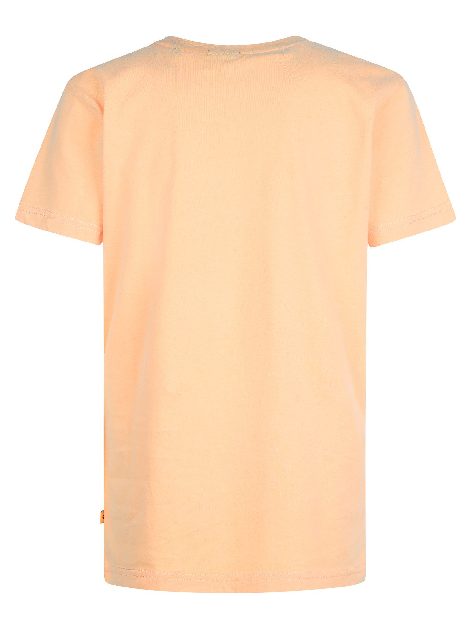 Petrol Industries T-Shirt Mulegé mit Print