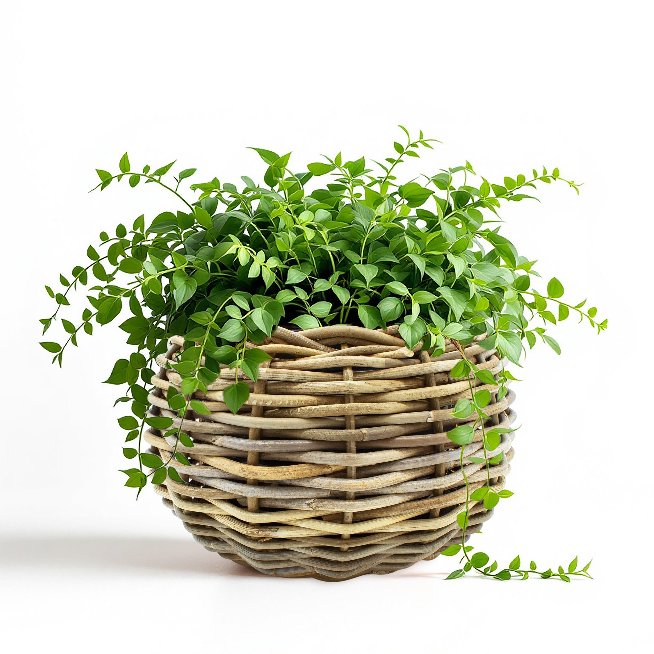 Spetebo Blumentopf Rattan Pflanztopf mit Kunststoff Einsatz (Anzahl, 1 St., Stück), mit 100 % wasserdichtem Innenkübel