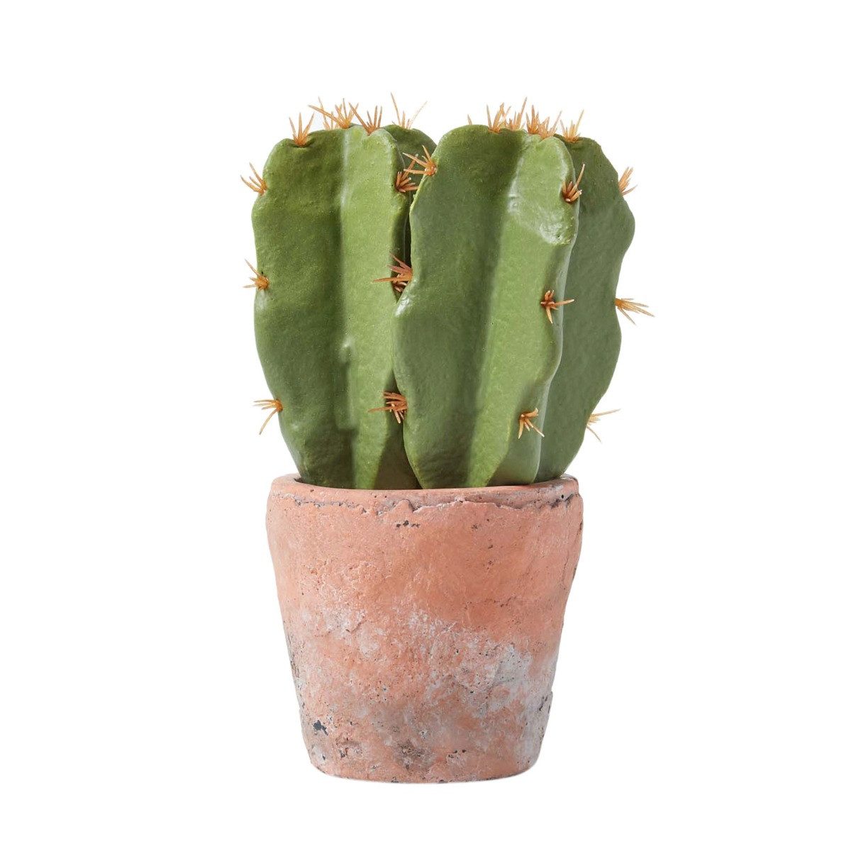 Kunstpflanze Klein Künstlicher Kaktus in Topf aus Terrakotta, 17 cm hoch