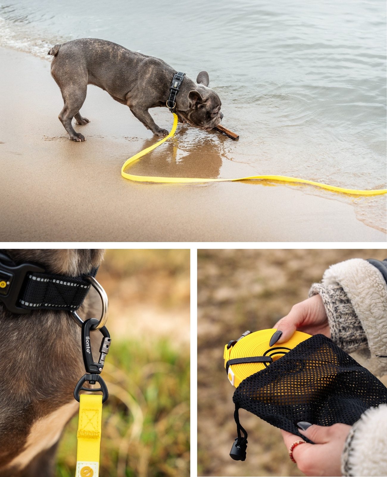 lionto Schleppleine strapazierfähig & wasserdicht, Nylon/PVC (mit Neopren-Handschlaufe, 1-tlg., Trainingsleine), mit Sicherheitskarabiner