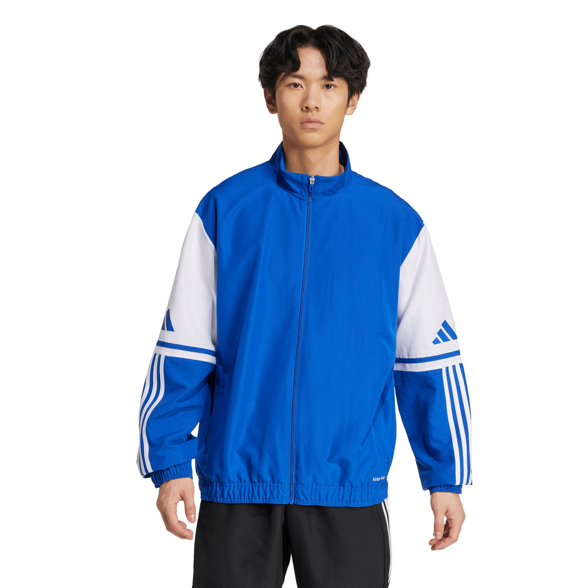 adidas Performance Trainingsjacke adidas Herren Präsentationsjacke Squadra günstig online kaufen