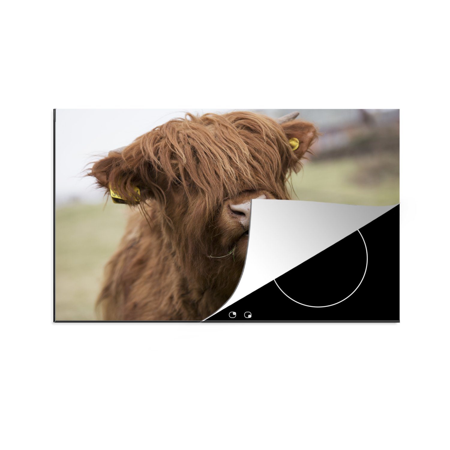 MuchoWow Herdblende-/Abdeckplatte Schottischer Highlander 81x52 - - Ceranfeldabdeckung tlg), küche, cm, Braun (1 Tiere, Vinyl, Schutz Induktionskochfeld die für