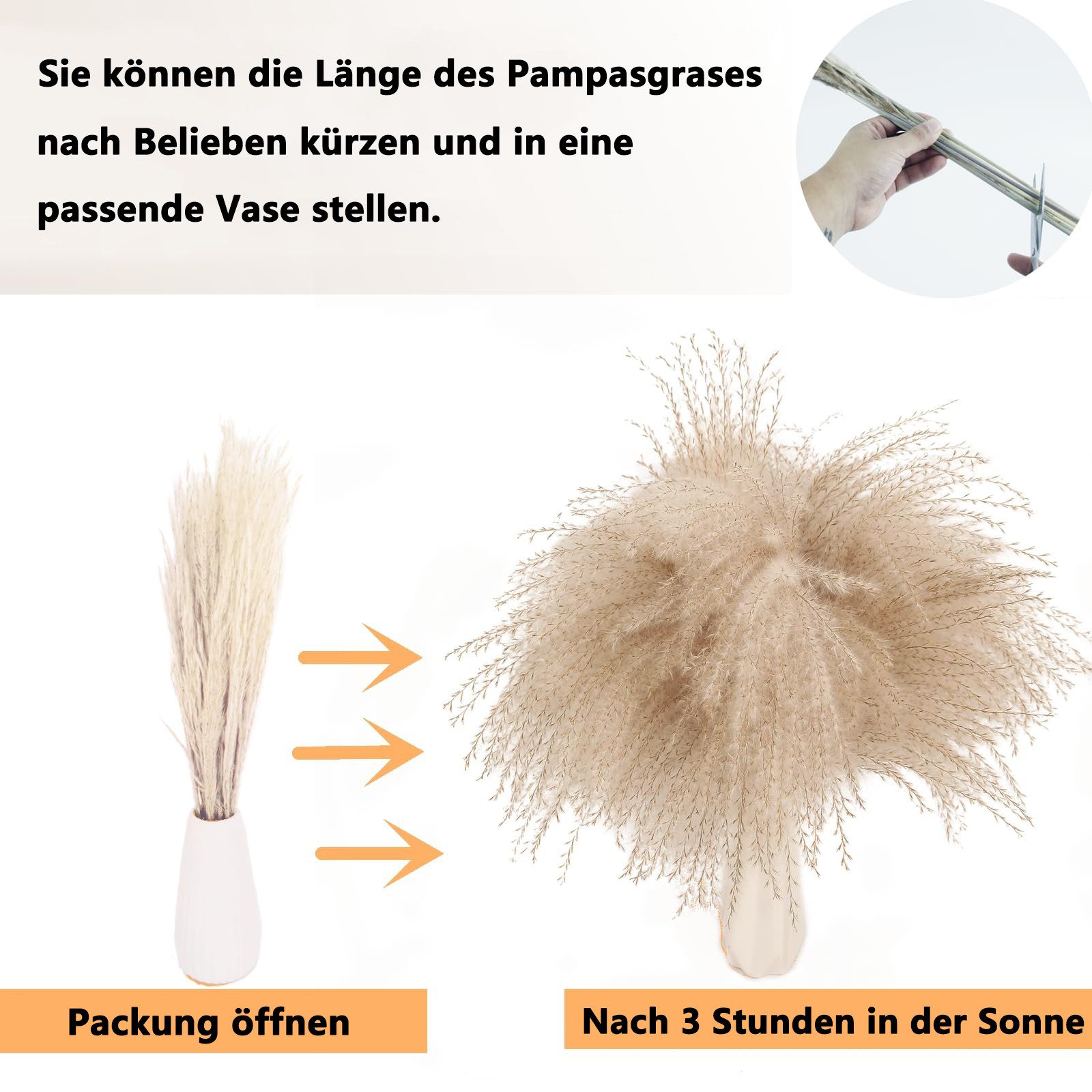 Trockenblume 128 Stück Pampasgras mit Hasenschwanz-Getreideblumen, FOUORTUNATE-BEE, Höhe 43 cm, Schilfgrasstrauß für Hochzeit, Boho-Blumen, Heimtischdeko – Bild 3 von 5