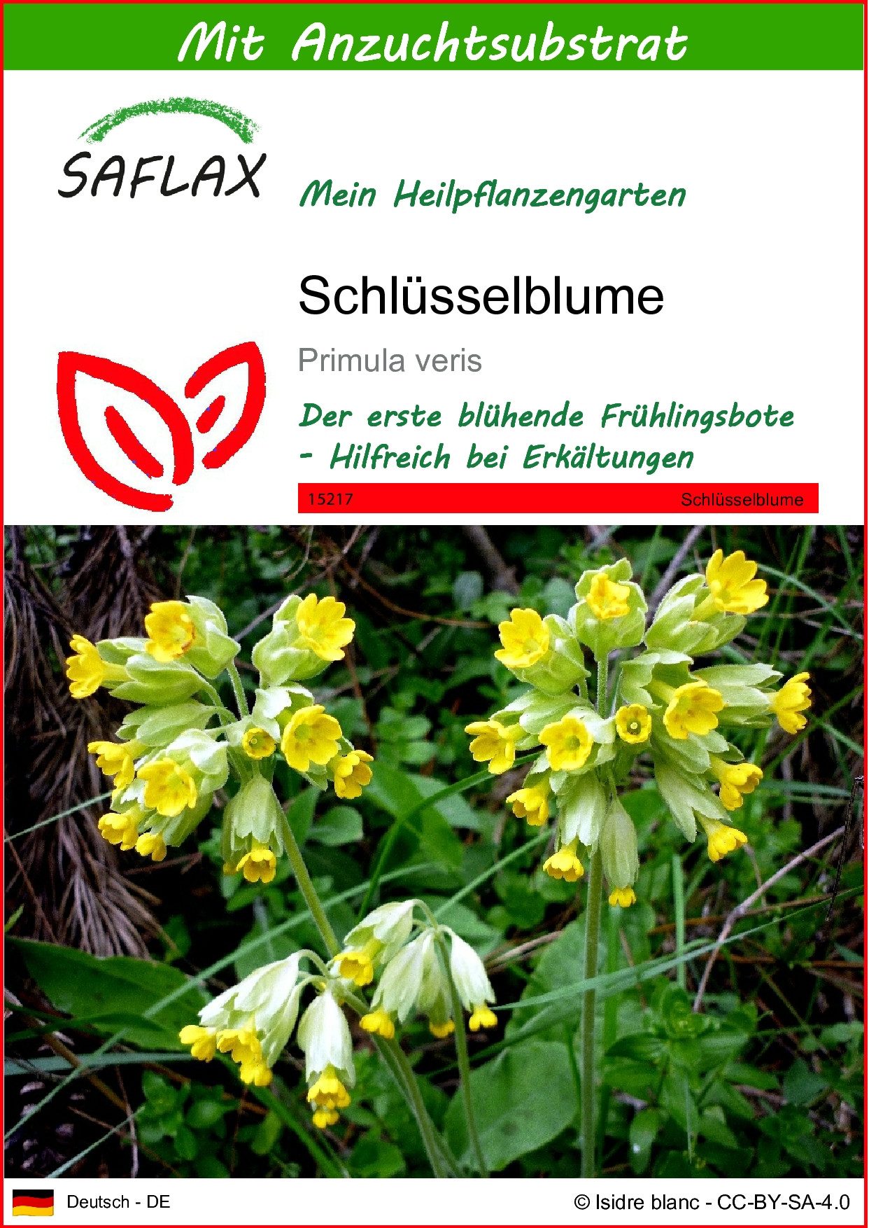 SAFLAX Blumensamen SAFLAX - Samen und günstig online kaufen