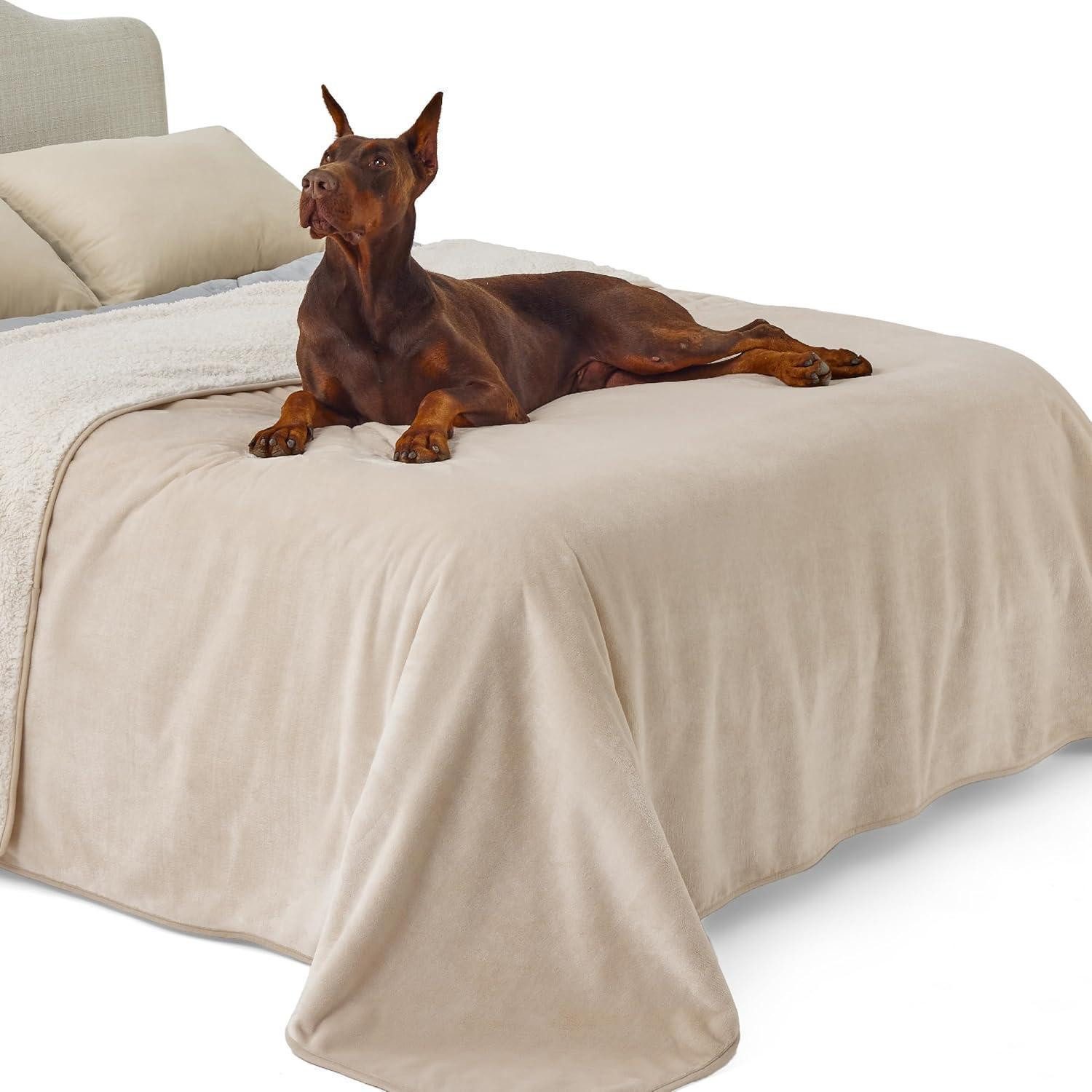 LuxusKollektion Tierdecke Hundedecke Wasserdicht Waschbar Fleece XXXXL 274x218cm Cremefarben