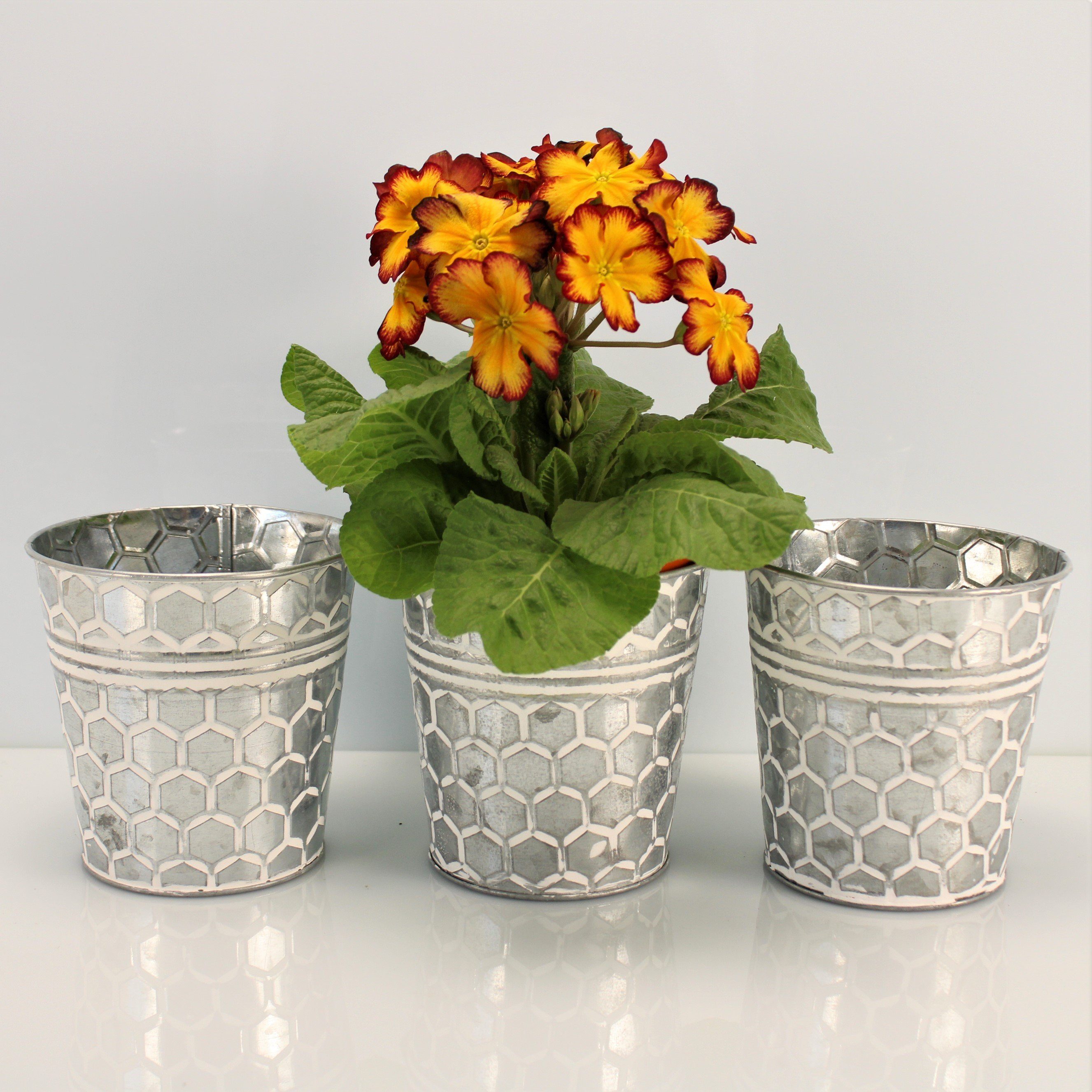 Online-Fuchs Blumentopf Runde silberne Blumentöpfe aus günstig online kaufen