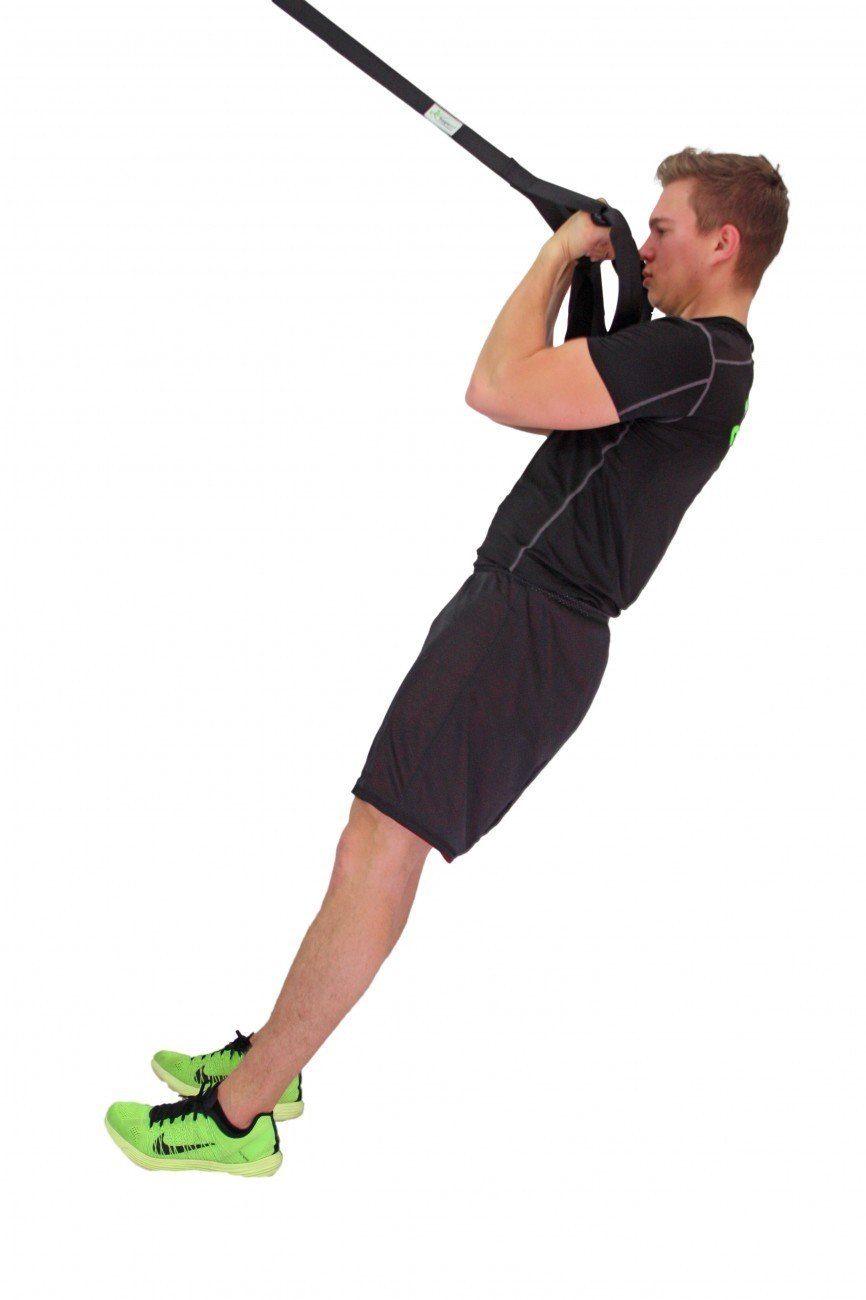 & ALU, Zuhause, Indoor eaglefit® Schlingentrainer Sling-Trainer orange Outdoor EXCLUSIVE Sportgerät für