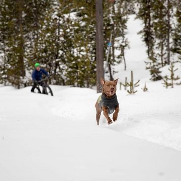 Ruffwear Hundepullover Hundepullover Climate Changer Pullover Cedar Green