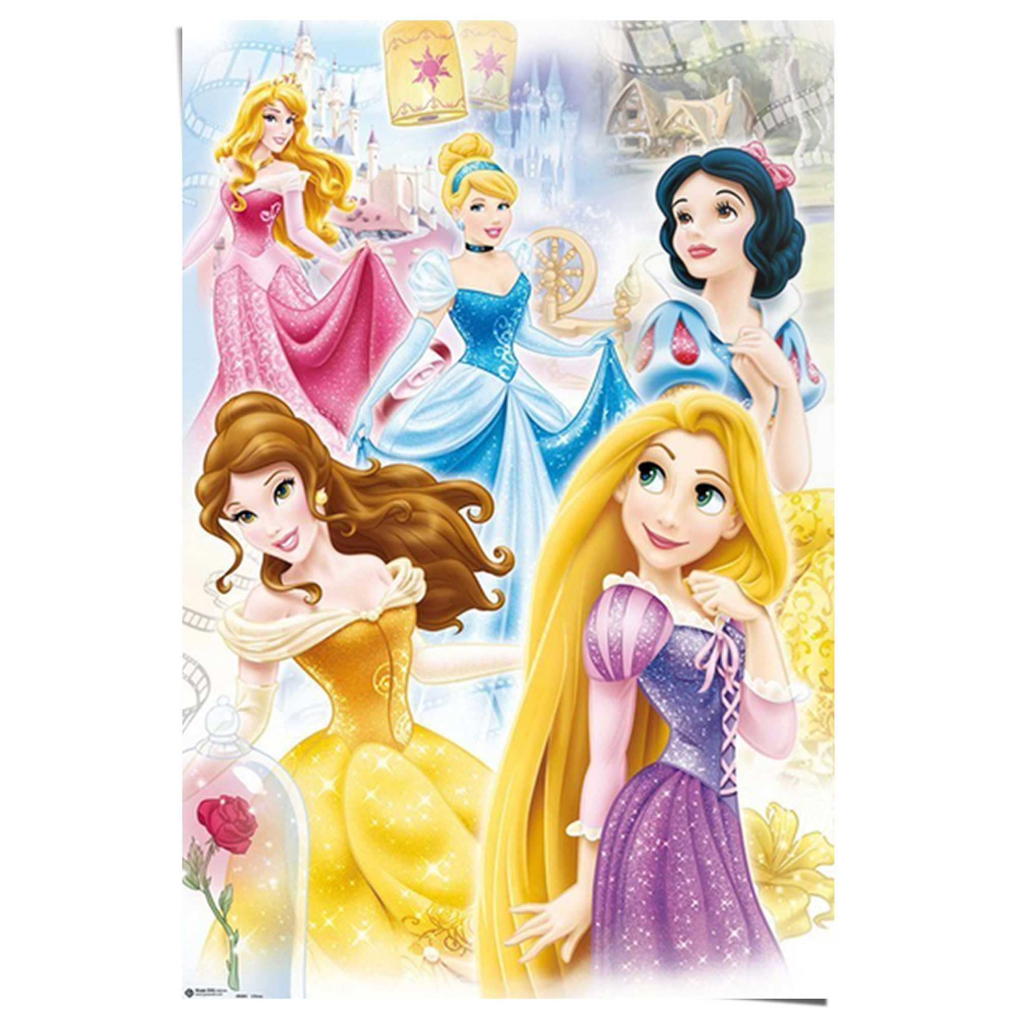 Reinders! Poster Disney - princess