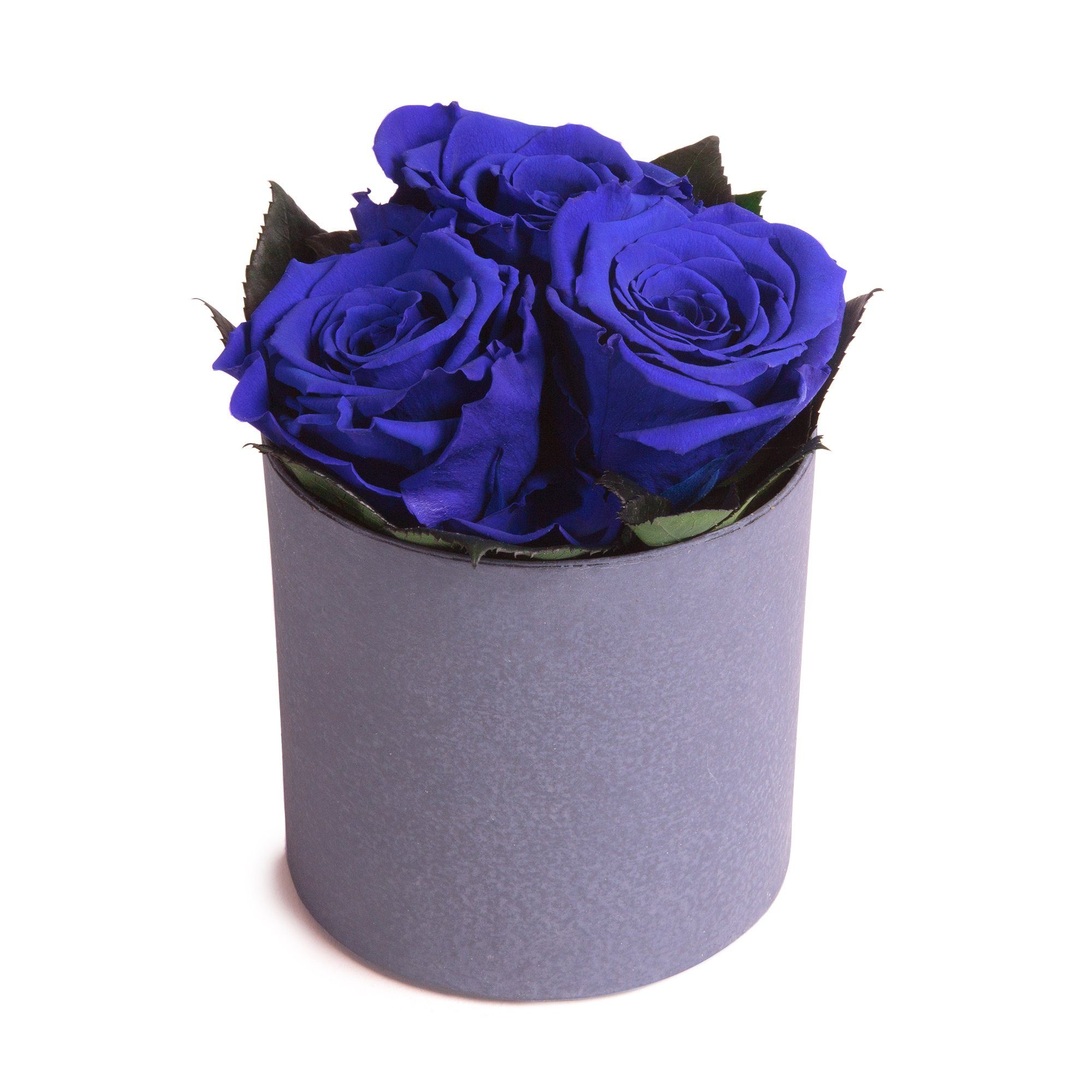 Gestecke Infinity Vase Rosen Heidelberg, im Gesteck Blumenvase in Höhe Zement Blau ROSEMARIE Papiertopf 15 cm, SCHULZ in Rosen Rose, ewige finished