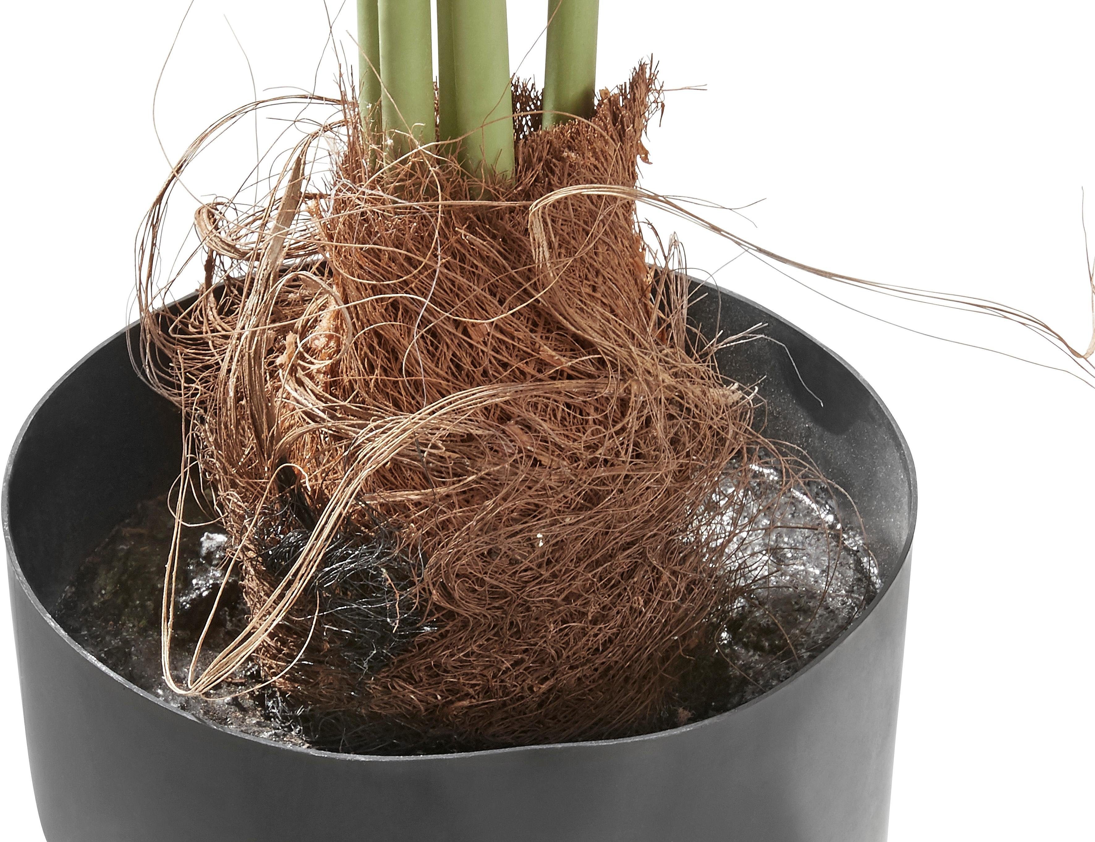 Kunstpalme Palme, Creativ green, Höhe 110 cm günstig online kaufen