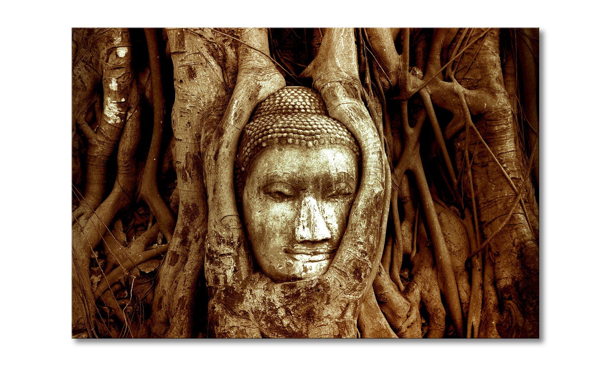Leinwandbild Deep Rooted