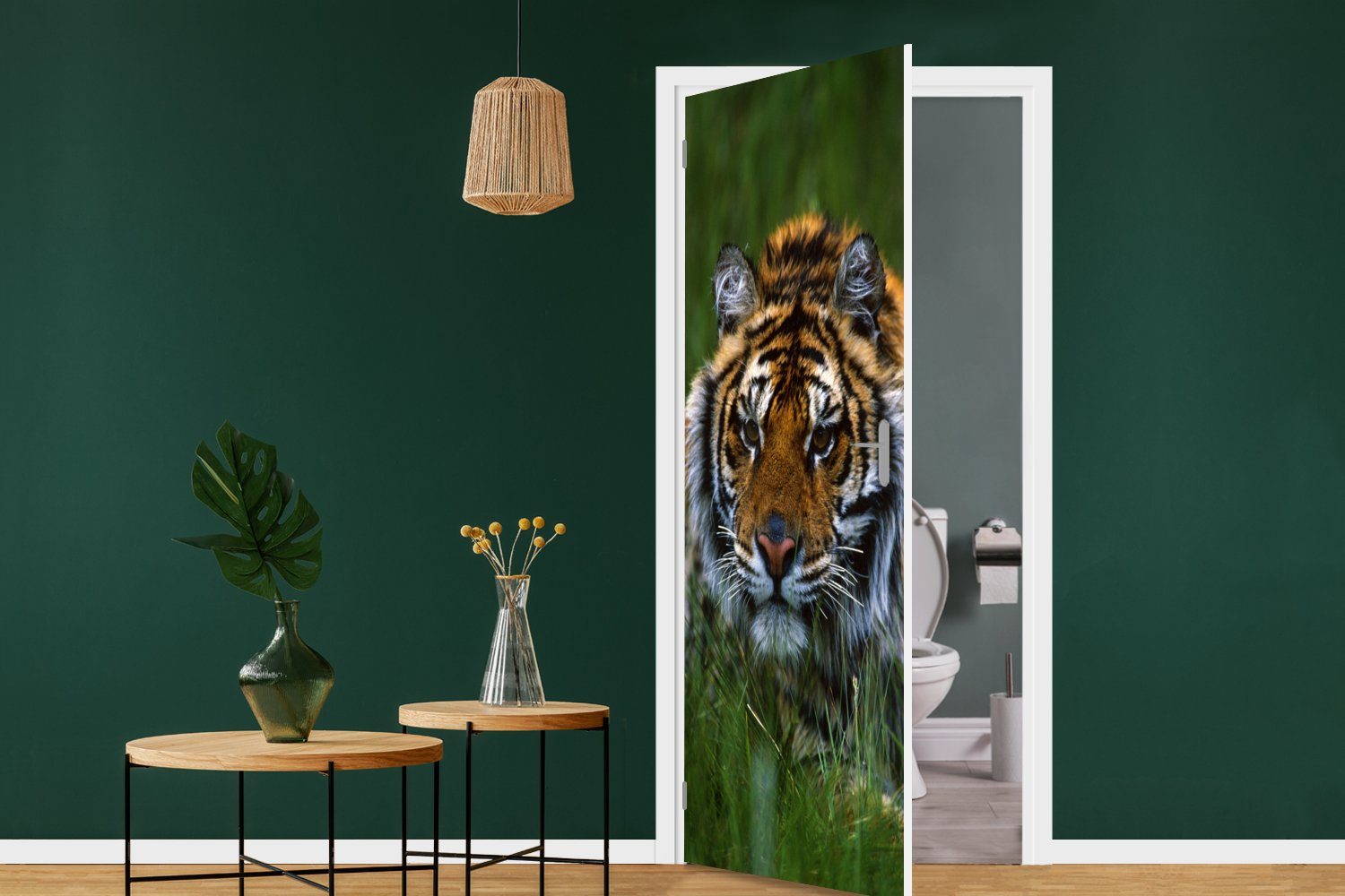 75x205 im bedruckt, MuchoWow cm Tür, Türtapete Matt, Fototapete St), (1 Türaufkleber, Sibirischer Tiger für versteckt, Gras