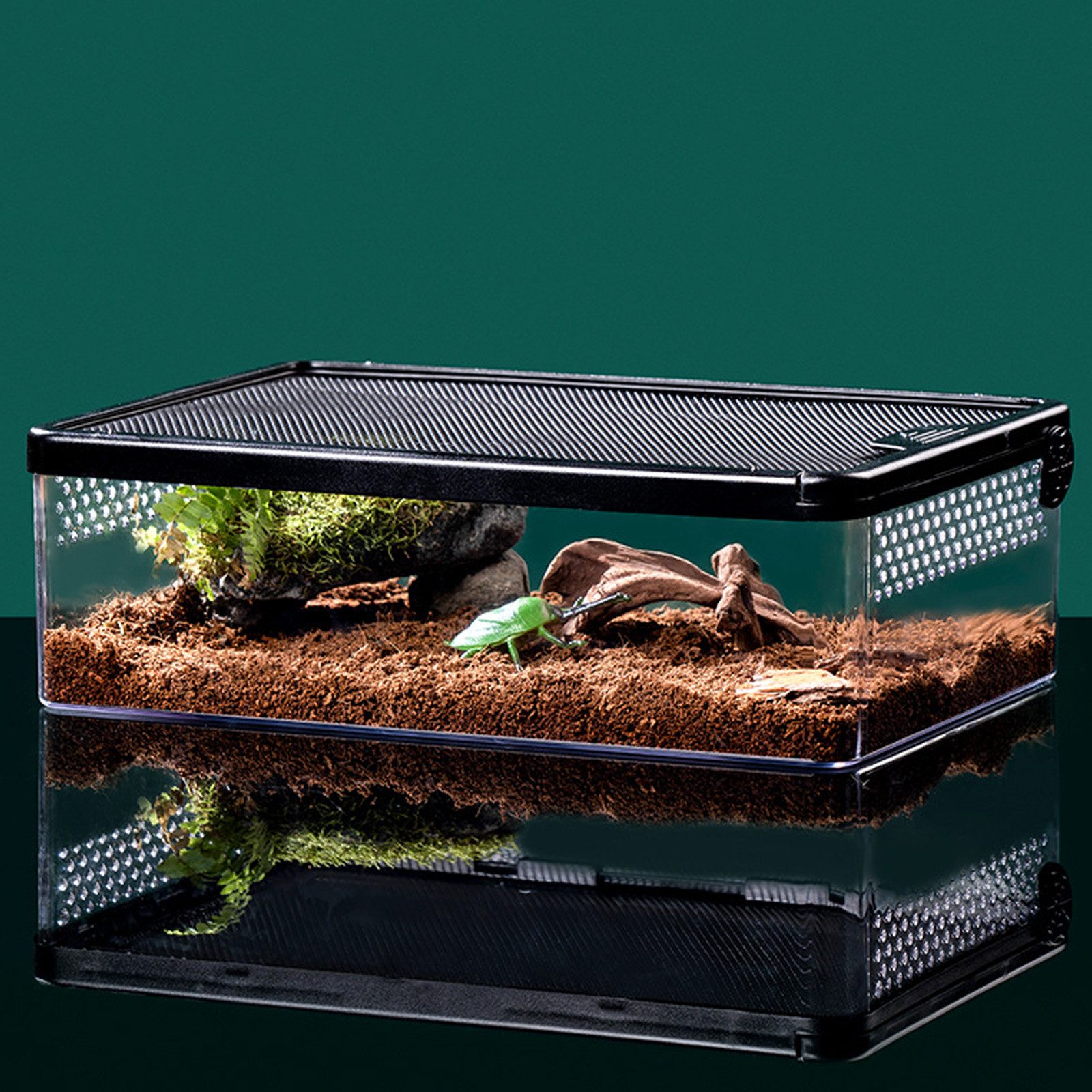 GarveeMore Terrarium Schildkrötenpanzer mit atmungsaktiven Löchern Fischtank fürHornfrösche, Multifunktionale Bereiche Vollsicht-Aquarium Echsen Kleintier-Anti-Flu