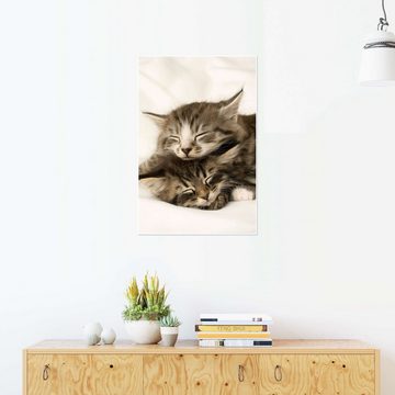 Posterlounge Poster Greg Cuddiford, Zwei schlafende Kätzchen, Kindermotive