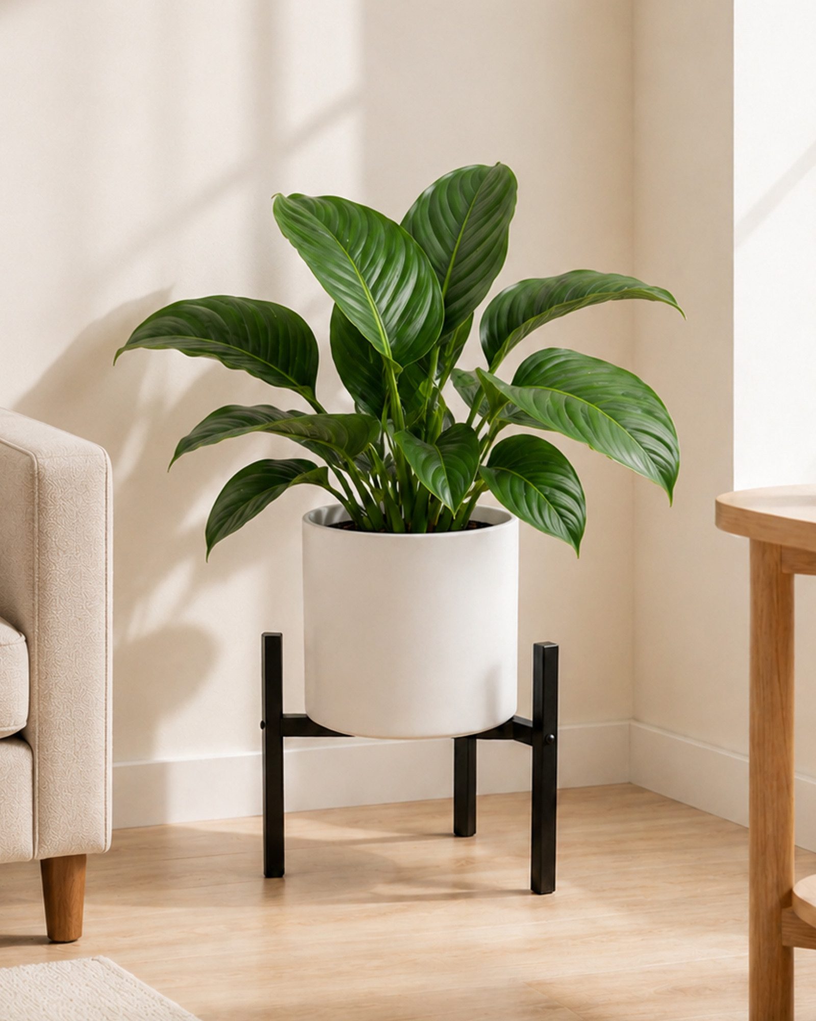 Bamworld Blumenständer wasserfest & sonnenbeständig, Verstellbarer, Schwarz (1 St), Verstellbares Design mit 2 Höhenstufen