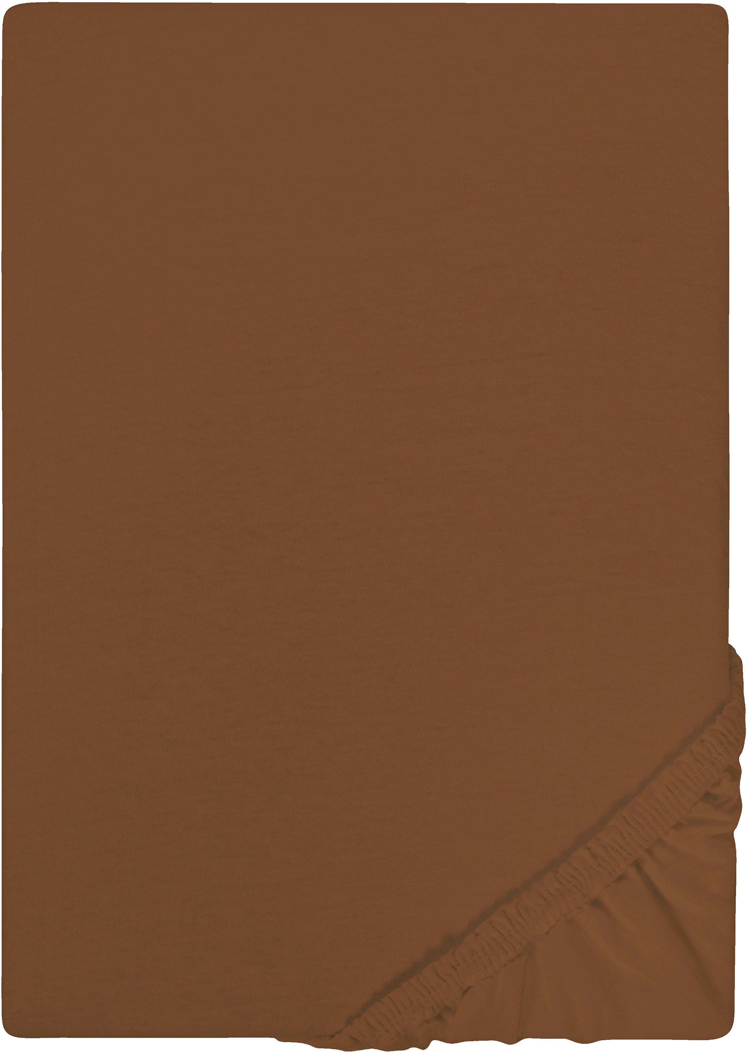 Castell - Markenbettwäsche Spannbettlaken Jersey in Gr. 90x200, 140x200 oder 180x200 cm, Jersey, Gummizug: rundum, (1 Stück), aus Baumwolle, für Matratzen bis 22 cm Höhe, Bettlaken, Spannbetttuch