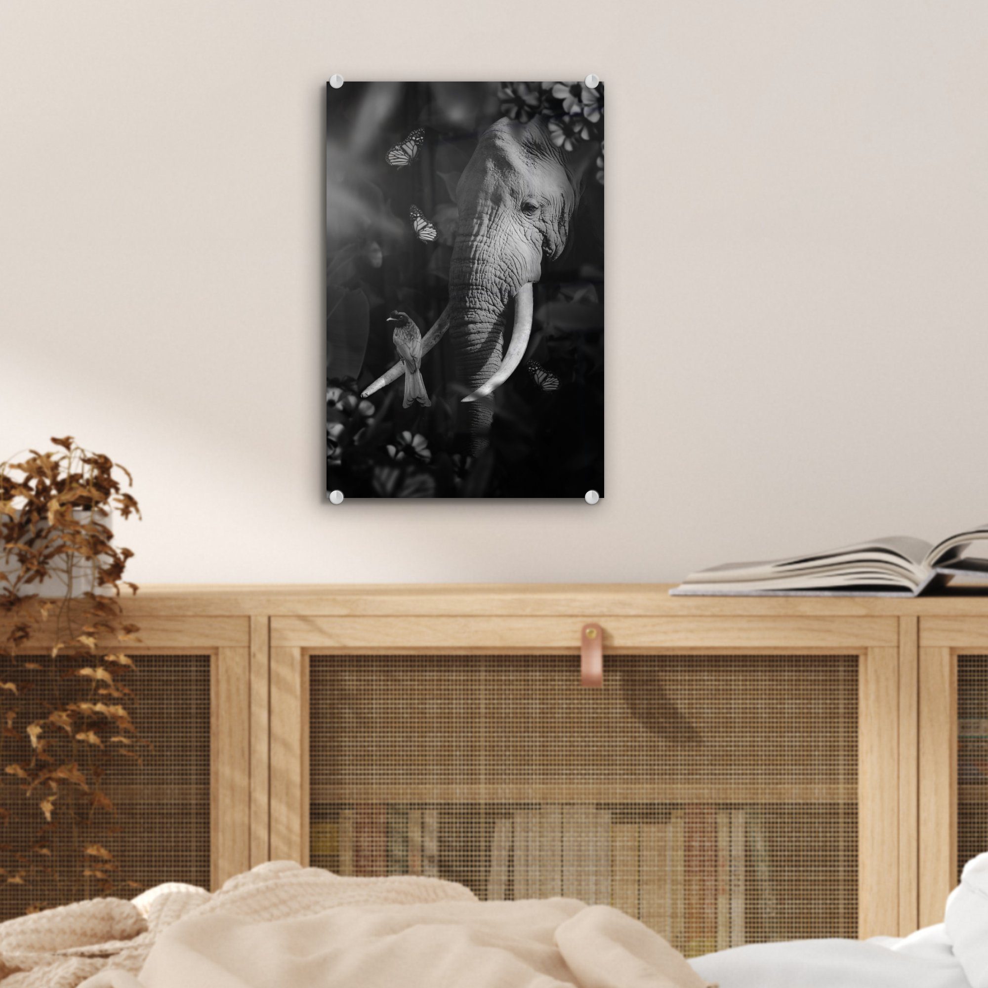 MuchoWow Acrylglasbild eines (1 Wanddekoration eines Glas - Dschungel auf Vogels Porträt Foto bunt - Glasbilder Bilder - Elefanten im - und St), Glas auf Wandbild schwarz und