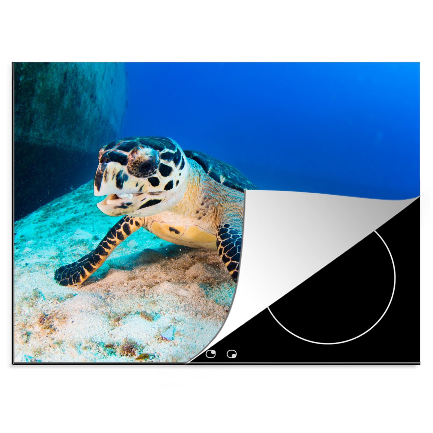 MuchoWow Herdblende-/Abdeckplatte Eine Schildkröte sitzt auf dem Sand neben einem Wrack im Meer vor, Vinyl, (1 tlg), 70x52 cm, Mobile Arbeitsfläche nutzbar, Ceranfeldabdeckung