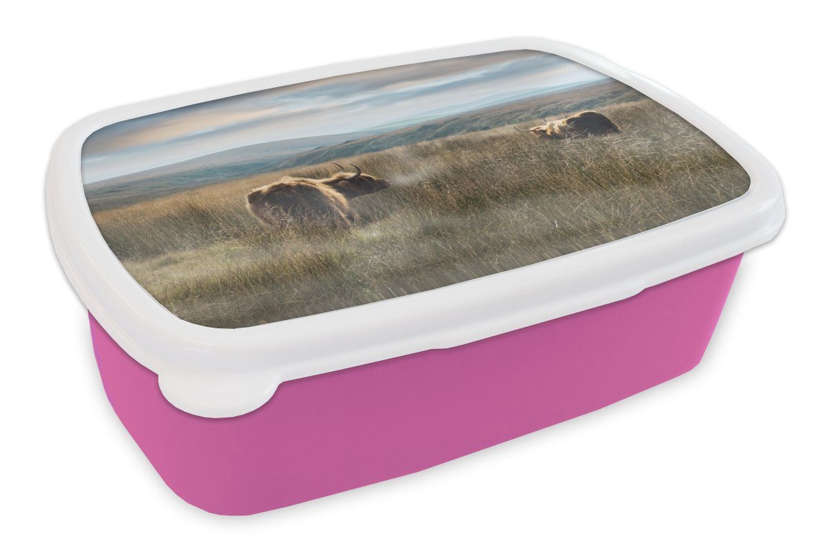 MuchoWow Lunchbox Schottische Highlander - Nebel - Gras, Kunststoff, (2-tlg), Brotbox für Erwachsene, Brotdose Kinder, Snackbox, Mädchen, Kunststoff rosa