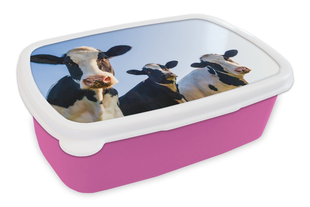 MuchoWow Lunchbox Kuh - Tiere - Blau - Makro, Kunststoff, (2-tlg), Brotbox für Erwachsene, Brotdose Kinder, Snackbox, Mädchen, Kunststoff rosa
