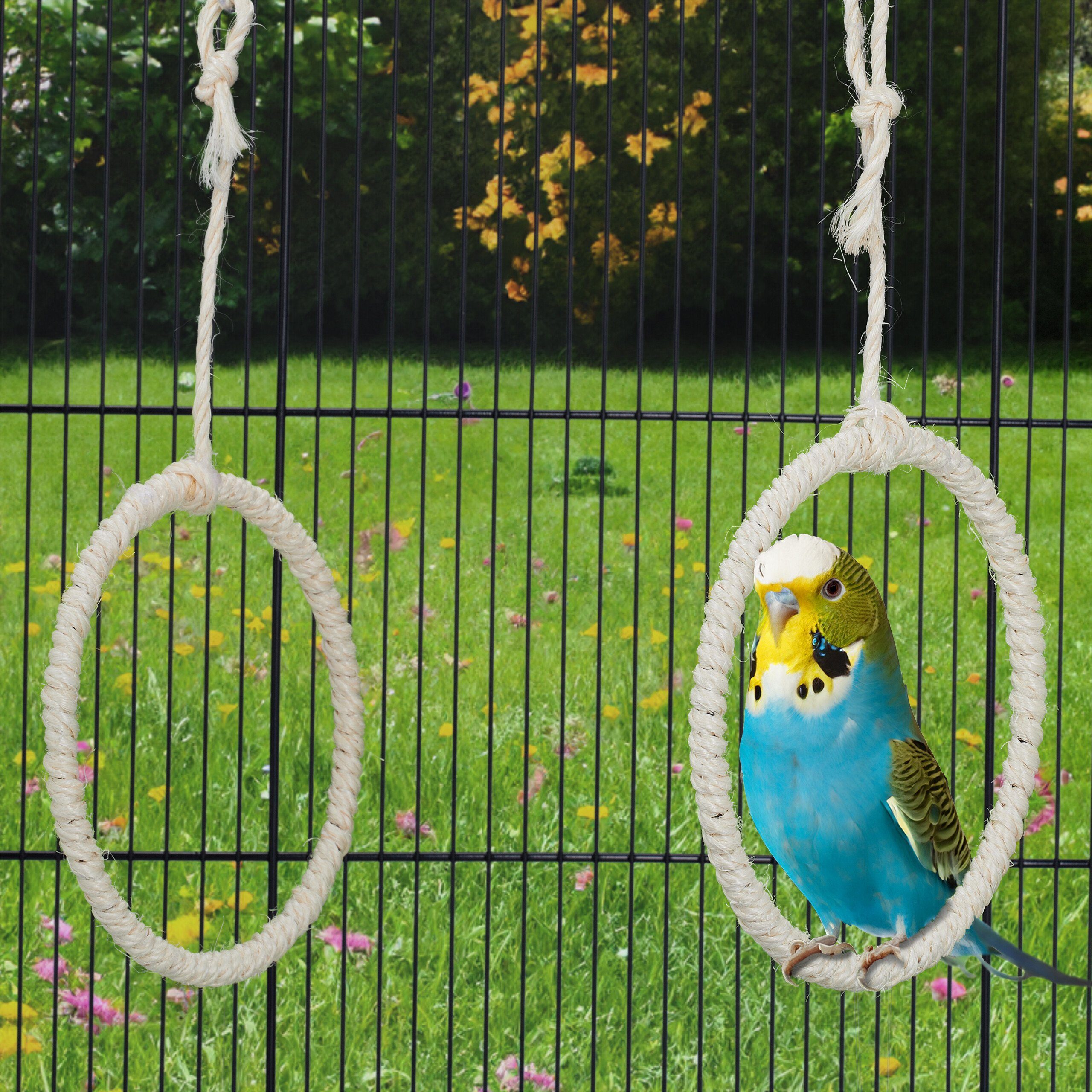 relaxdays Vogelspielplatz Vogelschaukel Ring 2er Set