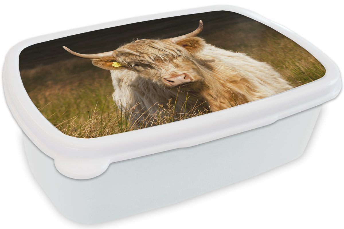 Mädchen Highlander Gras - MuchoWow - Jungs für Licht Lunchbox Brotdose, (2-tlg), Brotbox für Schottische und - Kunststoff, weiß und Tiere, Kinder Erwachsene,