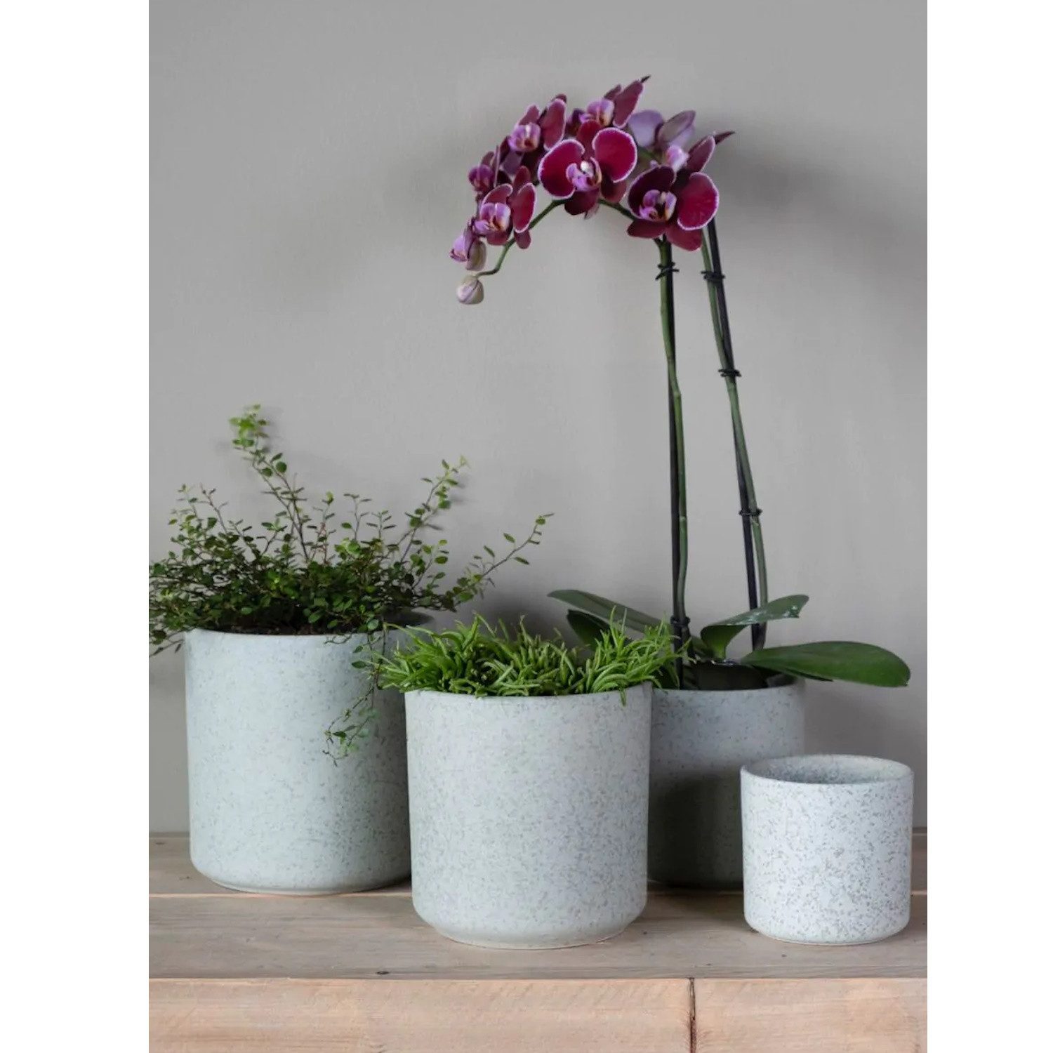 Hakbijl Glass Blumentopf Keramiktöpfe, Farbe: Grün, Motiv: Gesprenkelt günstig online kaufen