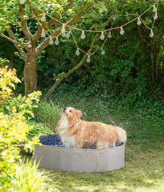 Dehner Hunde-Geschirr Lieblinge Hundepool Water Fun, Ø 120 cm Höhe 30 cm, Kunststoff, Planschbecken für Hunde als Abkühlung