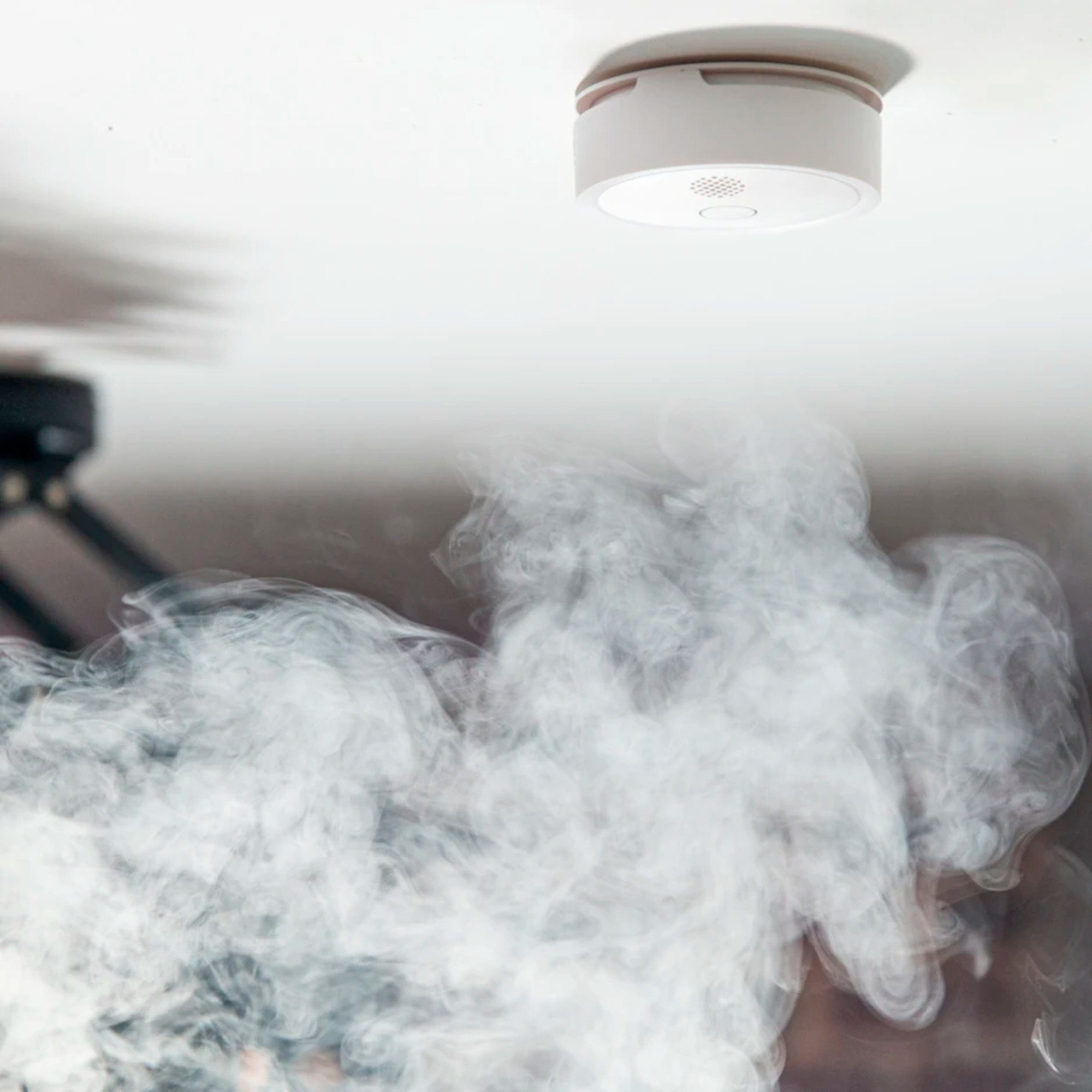 Shelly Shelly Plus Smoke, Rauchmelder Rauchmelder